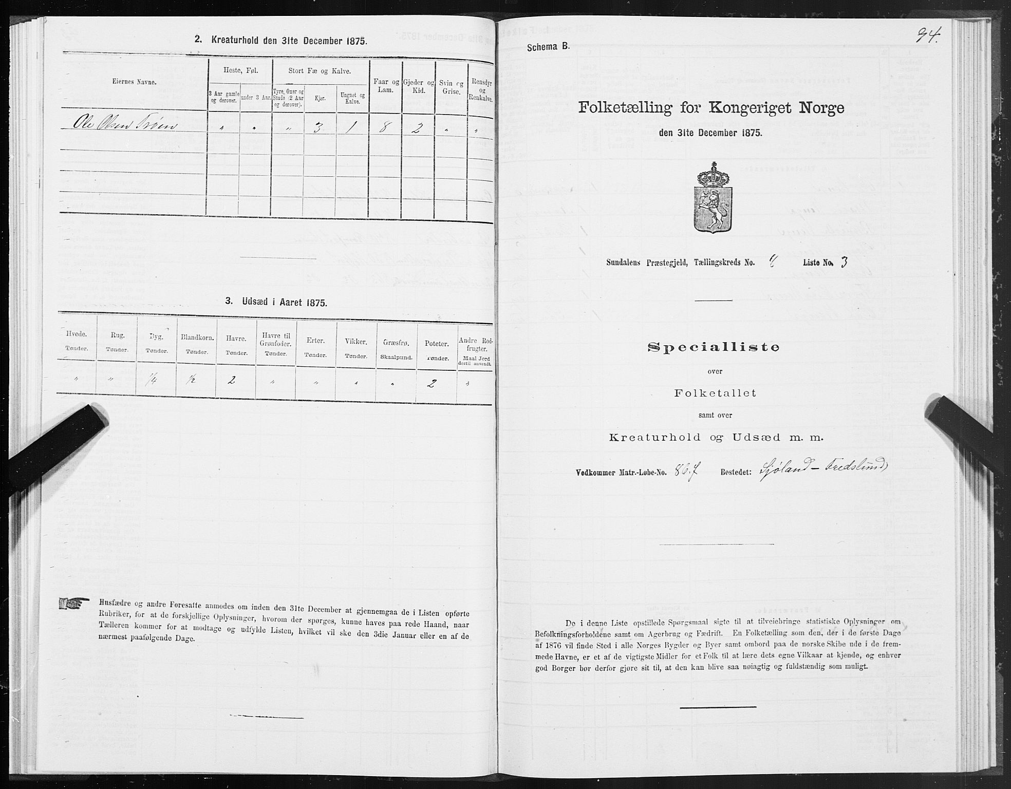 SAT, 1875 census for 1563P Sunndal, 1875, p. 3094