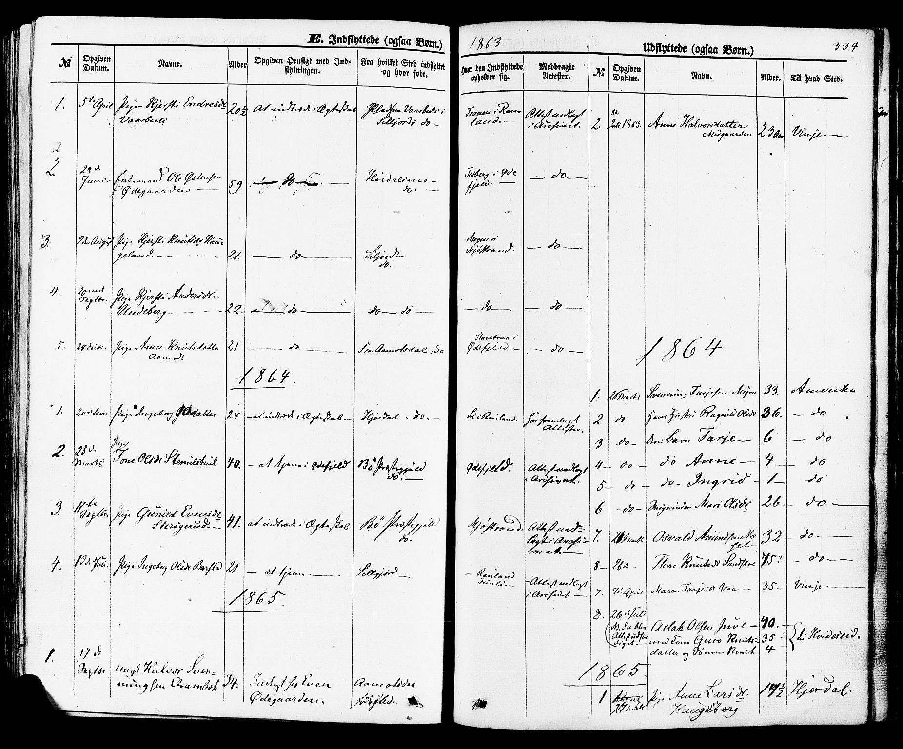 Rauland kirkebøker, SAKO/A-292/F/Fa/L0003: Parish register (official) no. 3, 1859-1886, p. 334