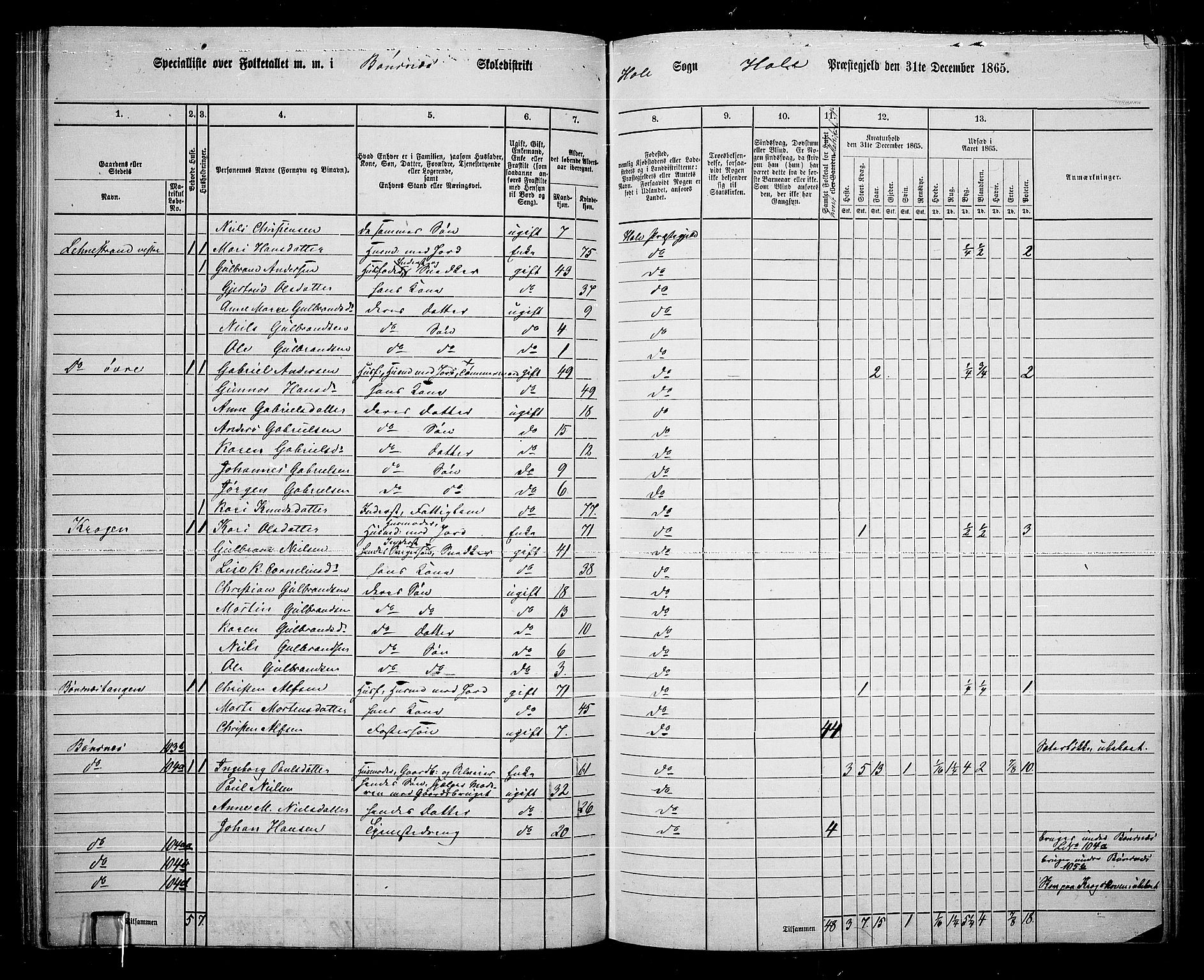 RA, 1865 census for Hole, 1865, p. 81