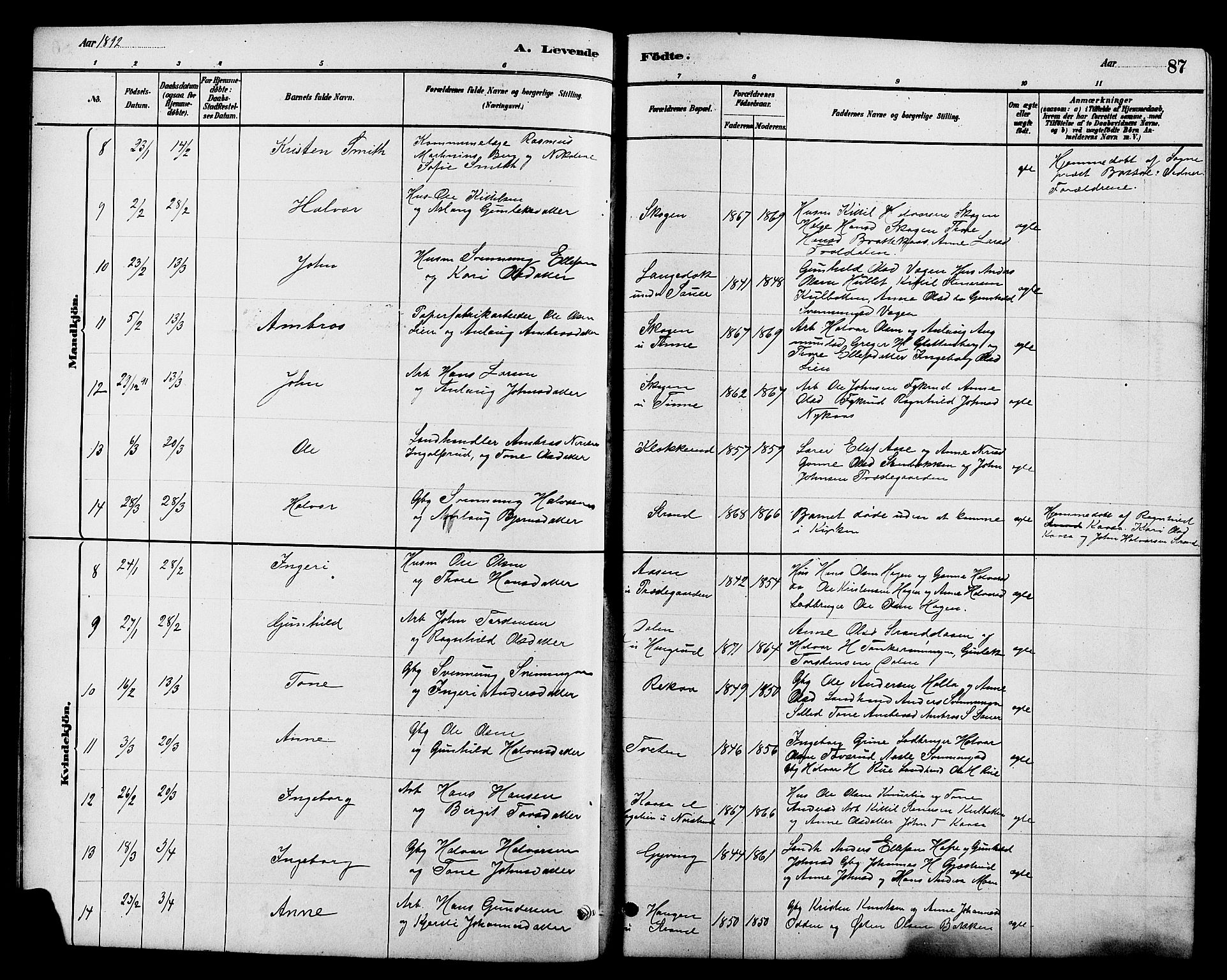Heddal kirkebøker, SAKO/A-268/G/Ga/L0002: Parish register (copy) no. I 2, 1879-1908, p. 87