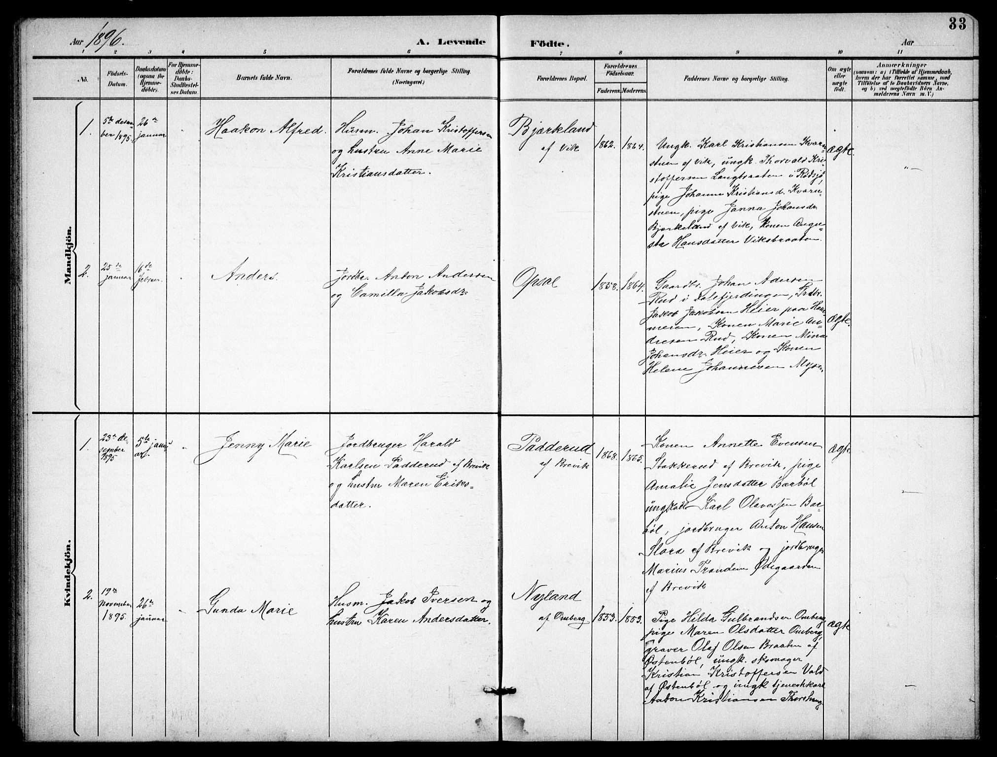 Enebakk prestekontor Kirkebøker, SAO/A-10171c/G/Gb/L0002: Parish register (copy) no. II 2, 1891-1903, p. 33