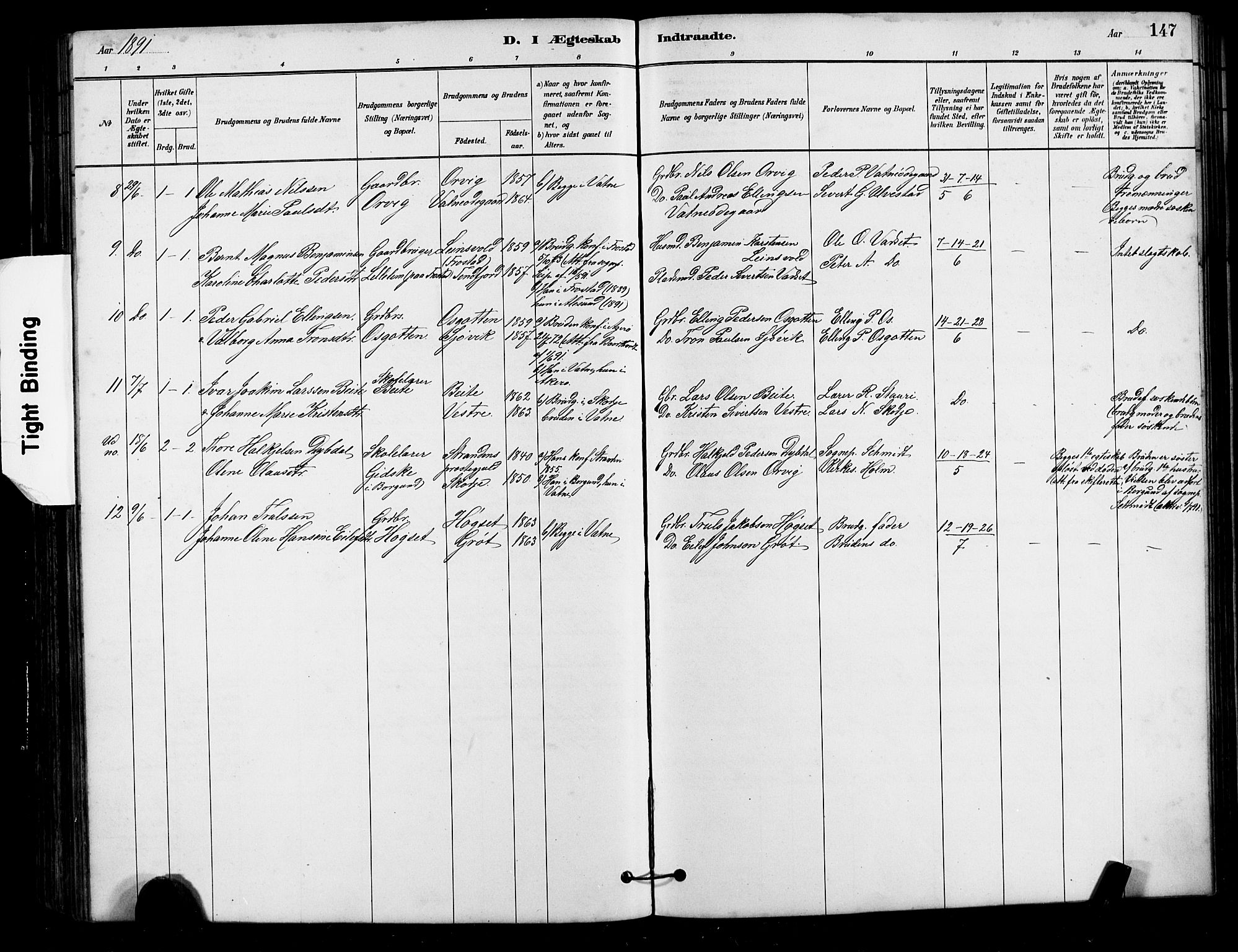 Ministerialprotokoller, klokkerbøker og fødselsregistre - Møre og Romsdal, AV/SAT-A-1454/525/L0376: Parish register (copy) no. 525C02, 1880-1902, p. 147