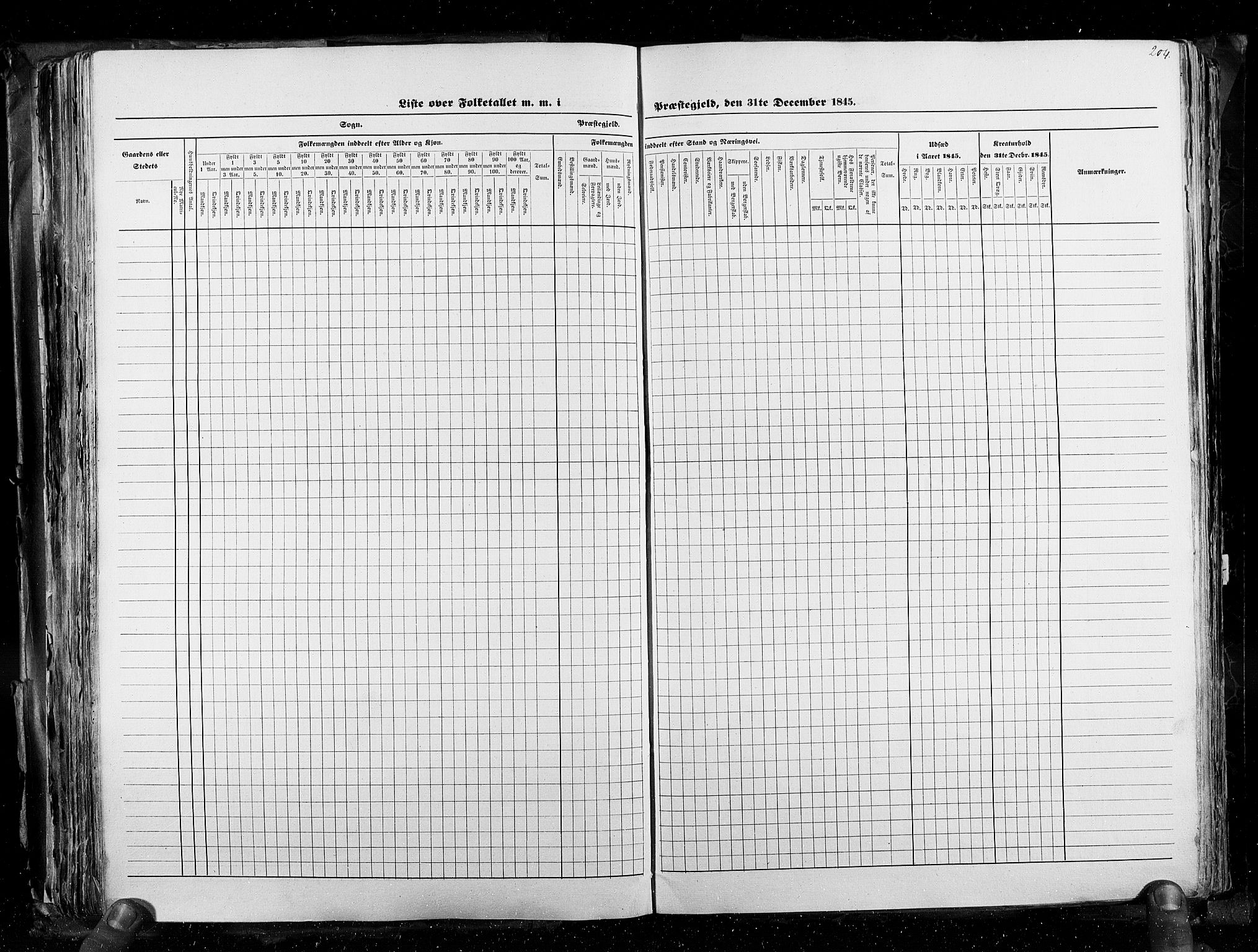 RA, Census 1845, vol. 3: Hedemarken amt og Kristians amt, 1845, p. 204