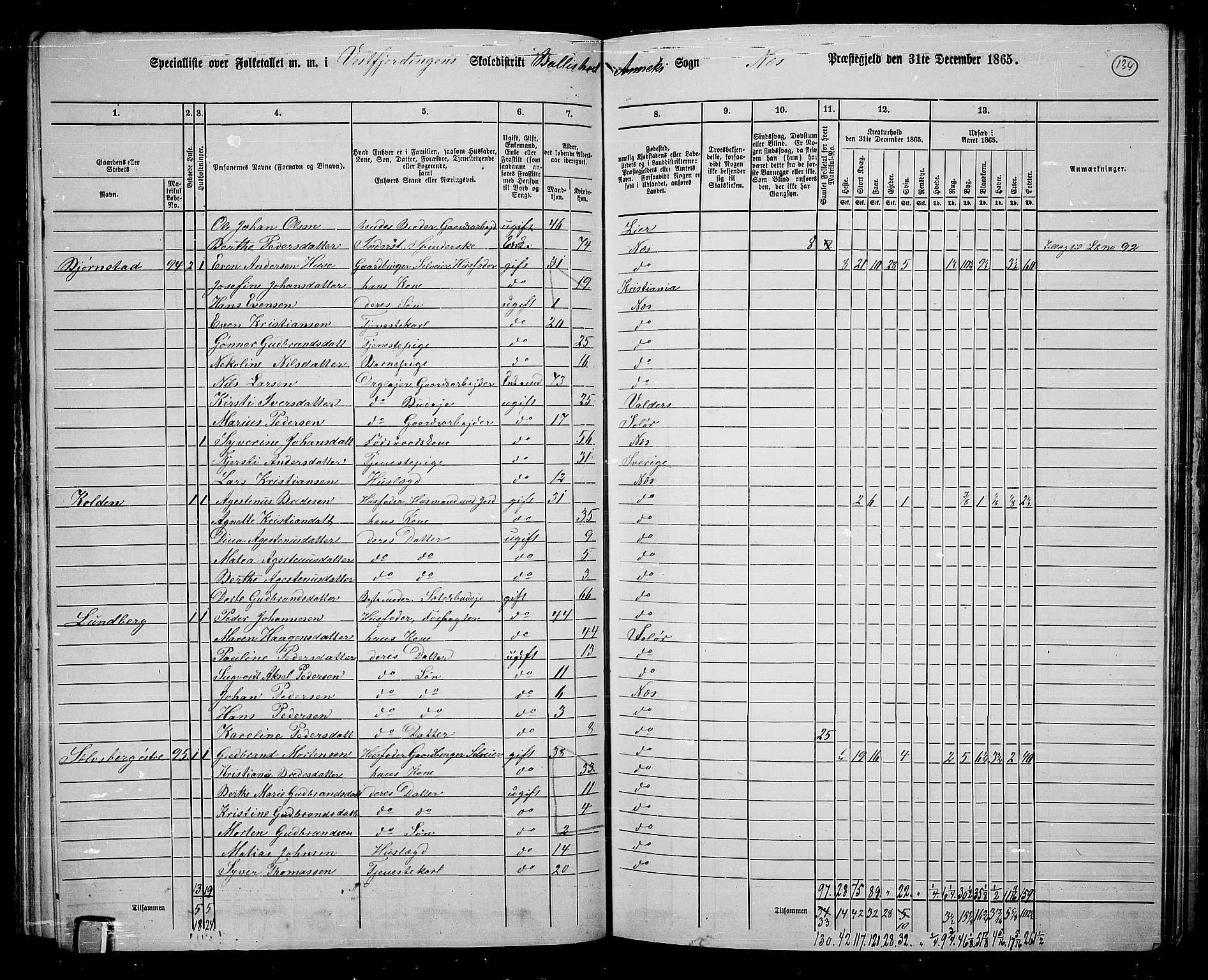 RA, 1865 census for Nes, 1865, p. 114