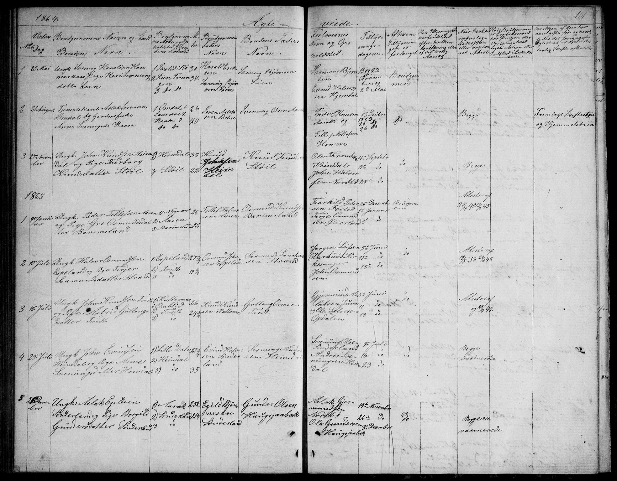 Nissedal kirkebøker, SAKO/A-288/G/Gb/L0002: Parish register (copy) no. II 2, 1863-1892, p. 101