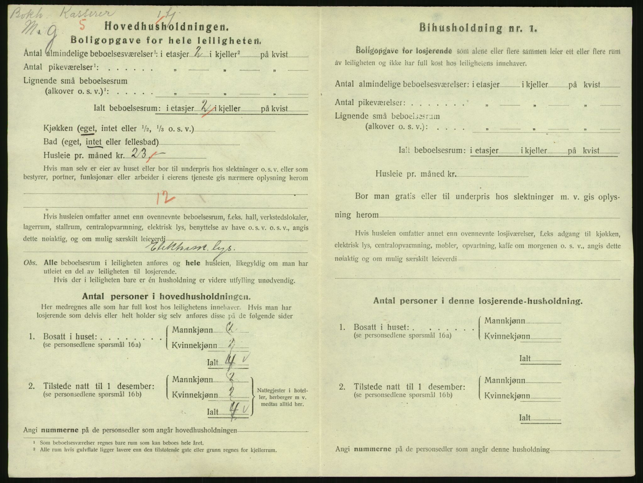 SAKO, 1920 census for Hønefoss, 1920, p. 1163