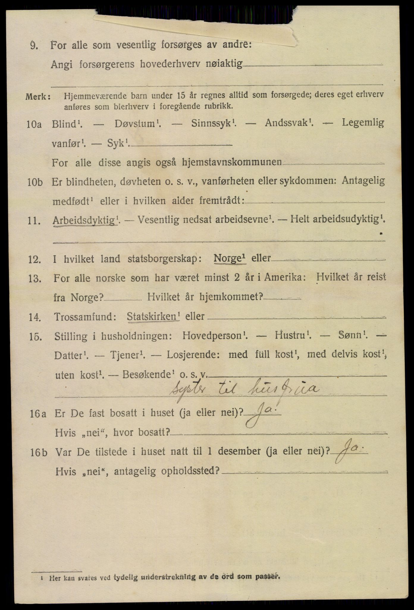 SAK, 1920 census for Hornnes, 1920, p. 2190