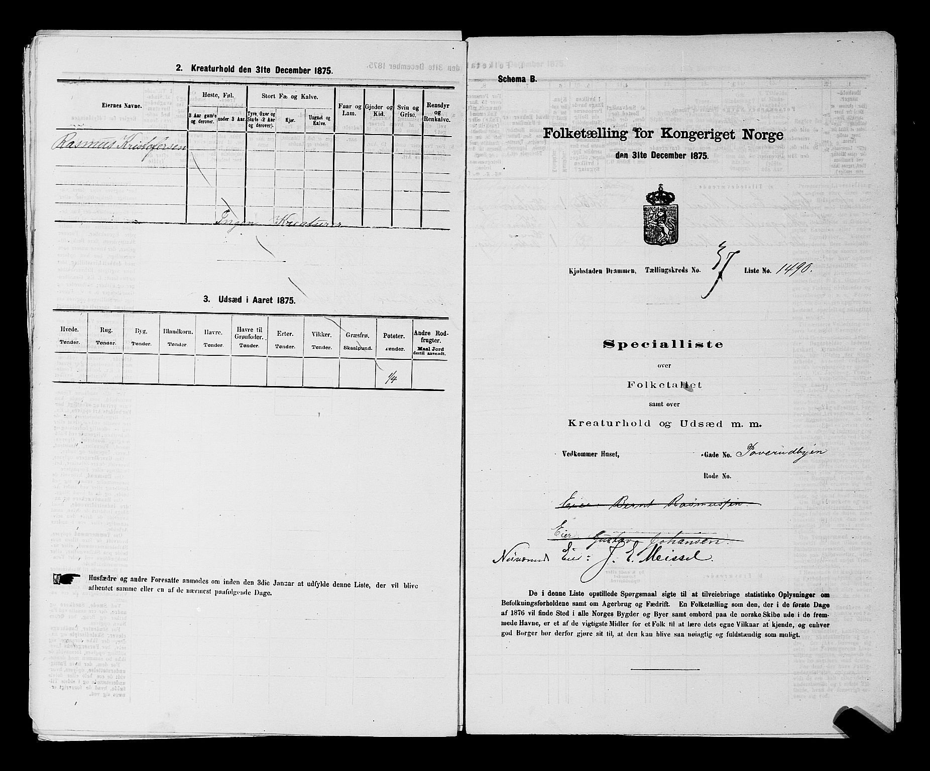SAKO, 1875 census for 0602 Drammen, 1875, p. 3217