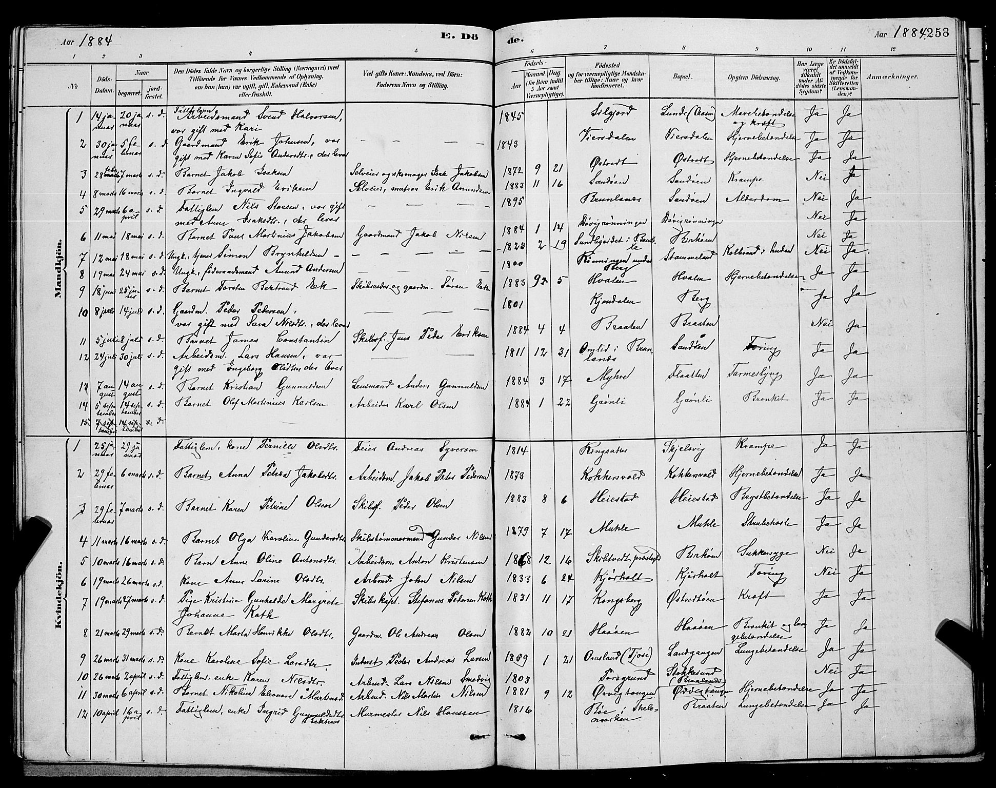 Eidanger kirkebøker, SAKO/A-261/G/Ga/L0002: Parish register (copy) no. 2, 1879-1892, p. 258