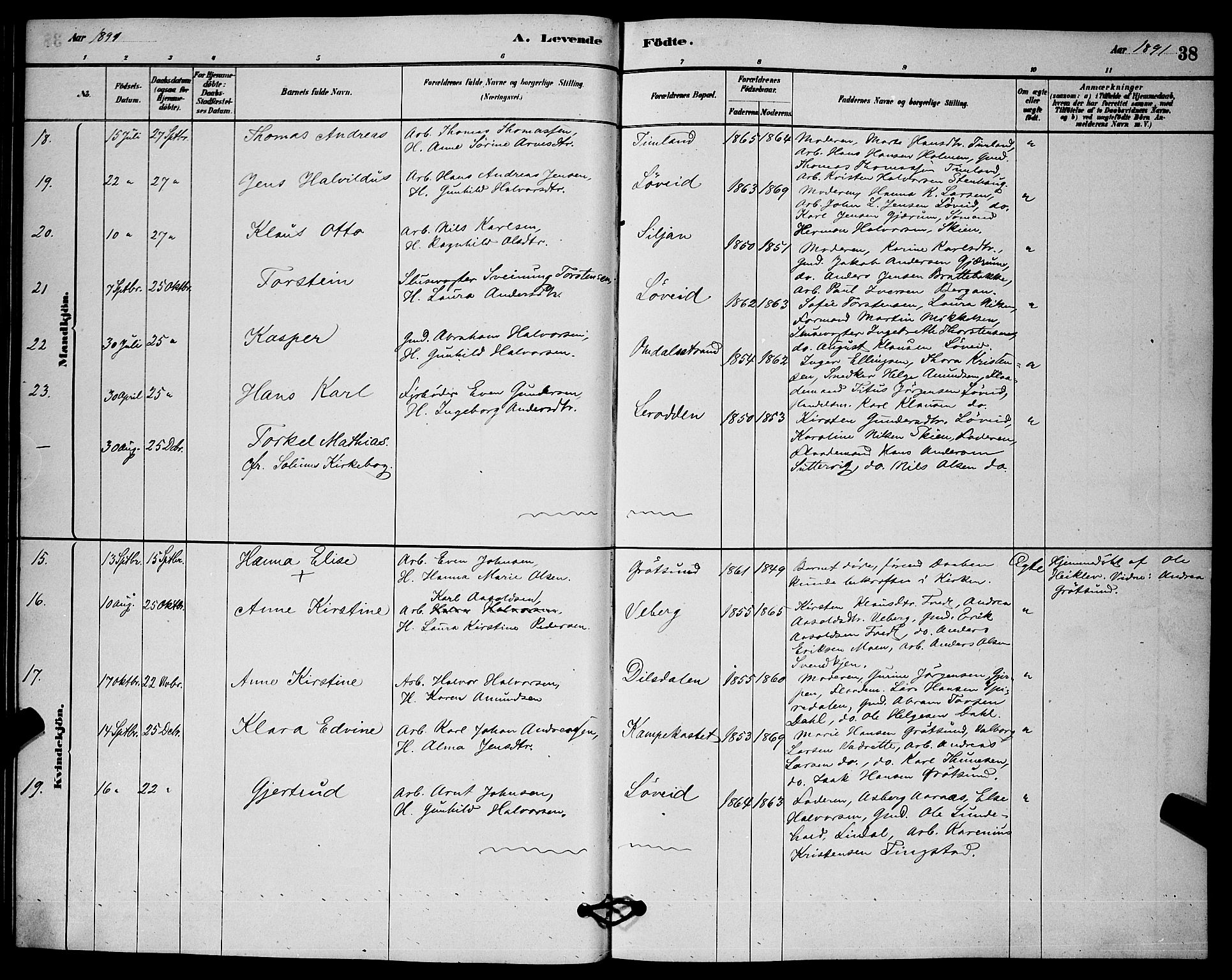 Solum kirkebøker, SAKO/A-306/G/Gb/L0003: Parish register (copy) no. II 3, 1880-1898, p. 38