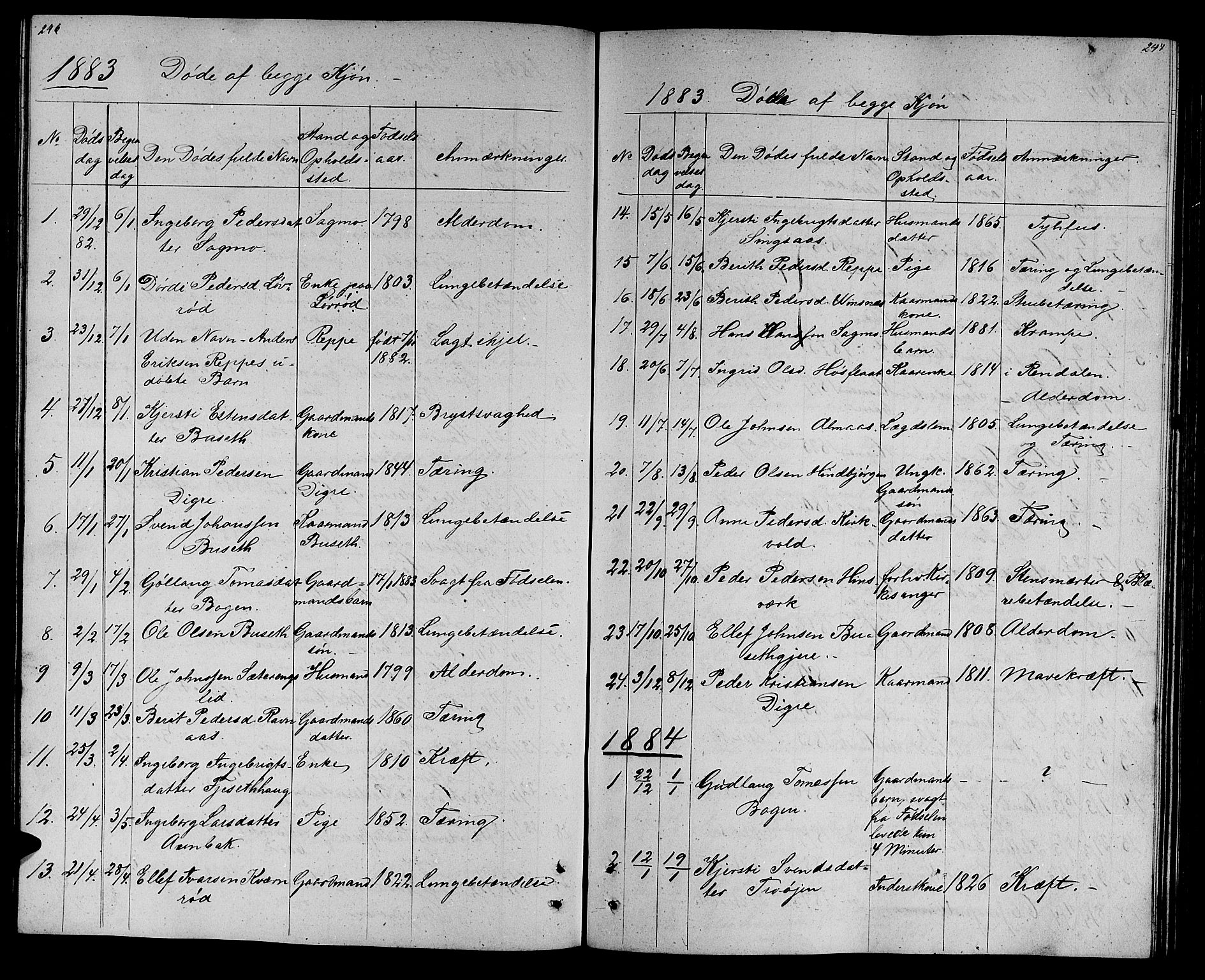 Ministerialprotokoller, klokkerbøker og fødselsregistre - Sør-Trøndelag, SAT/A-1456/688/L1027: Parish register (copy) no. 688C02, 1861-1889, p. 246-247