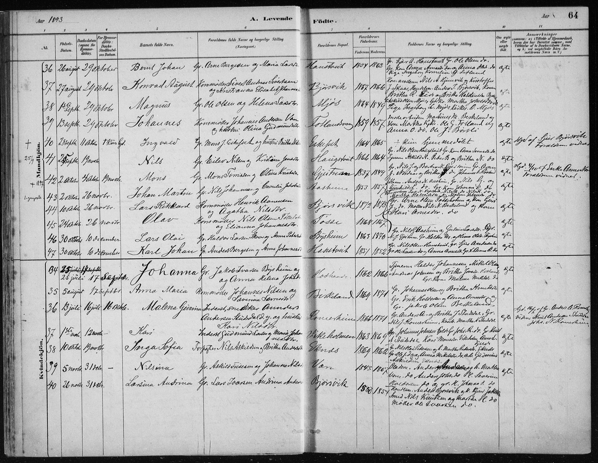 Hosanger sokneprestembete, SAB/A-75801/H/Haa: Parish register (official) no. B  1, 1880-1896, p. 64