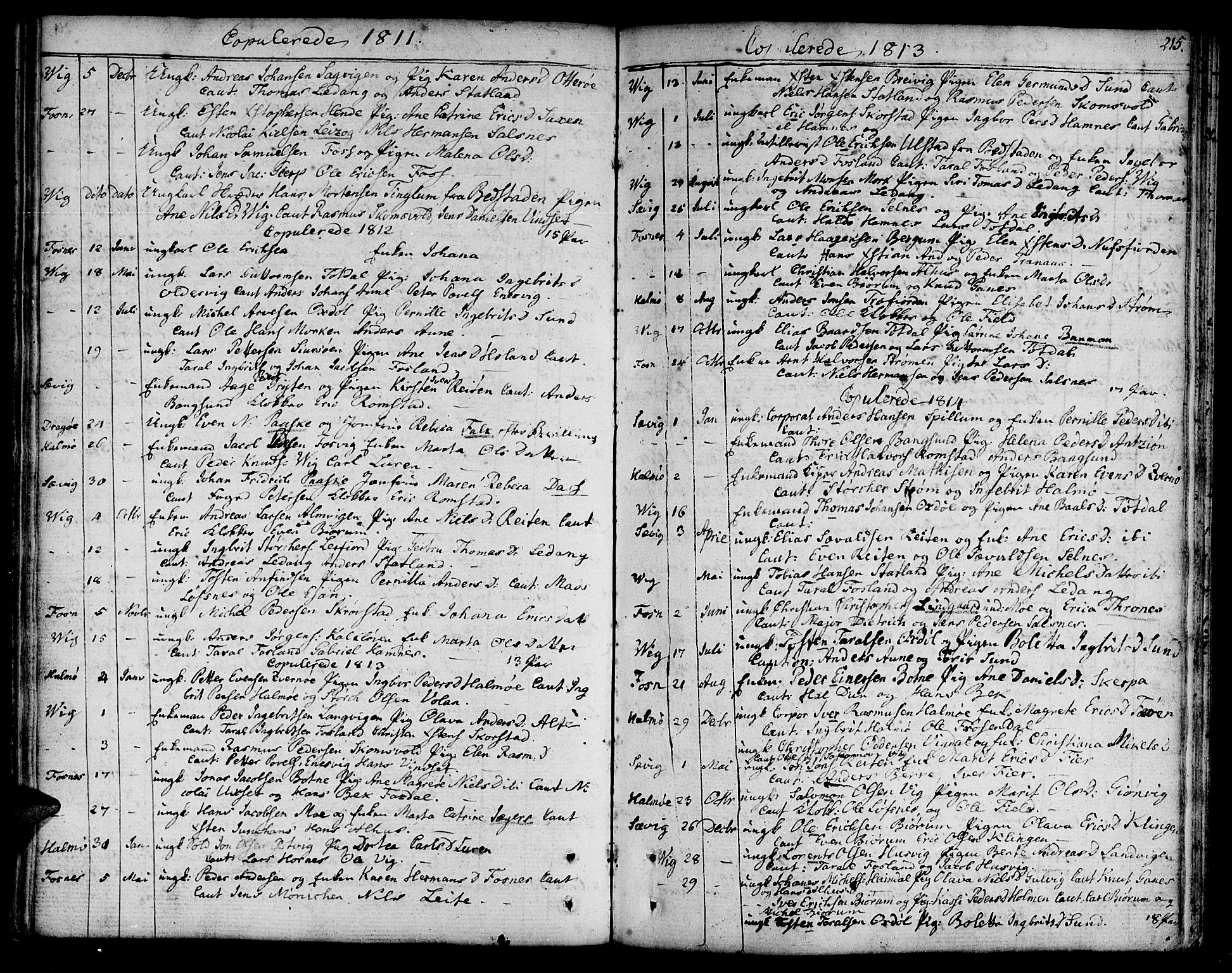 Ministerialprotokoller, klokkerbøker og fødselsregistre - Nord-Trøndelag, SAT/A-1458/773/L0608: Parish register (official) no. 773A02, 1784-1816, p. 215