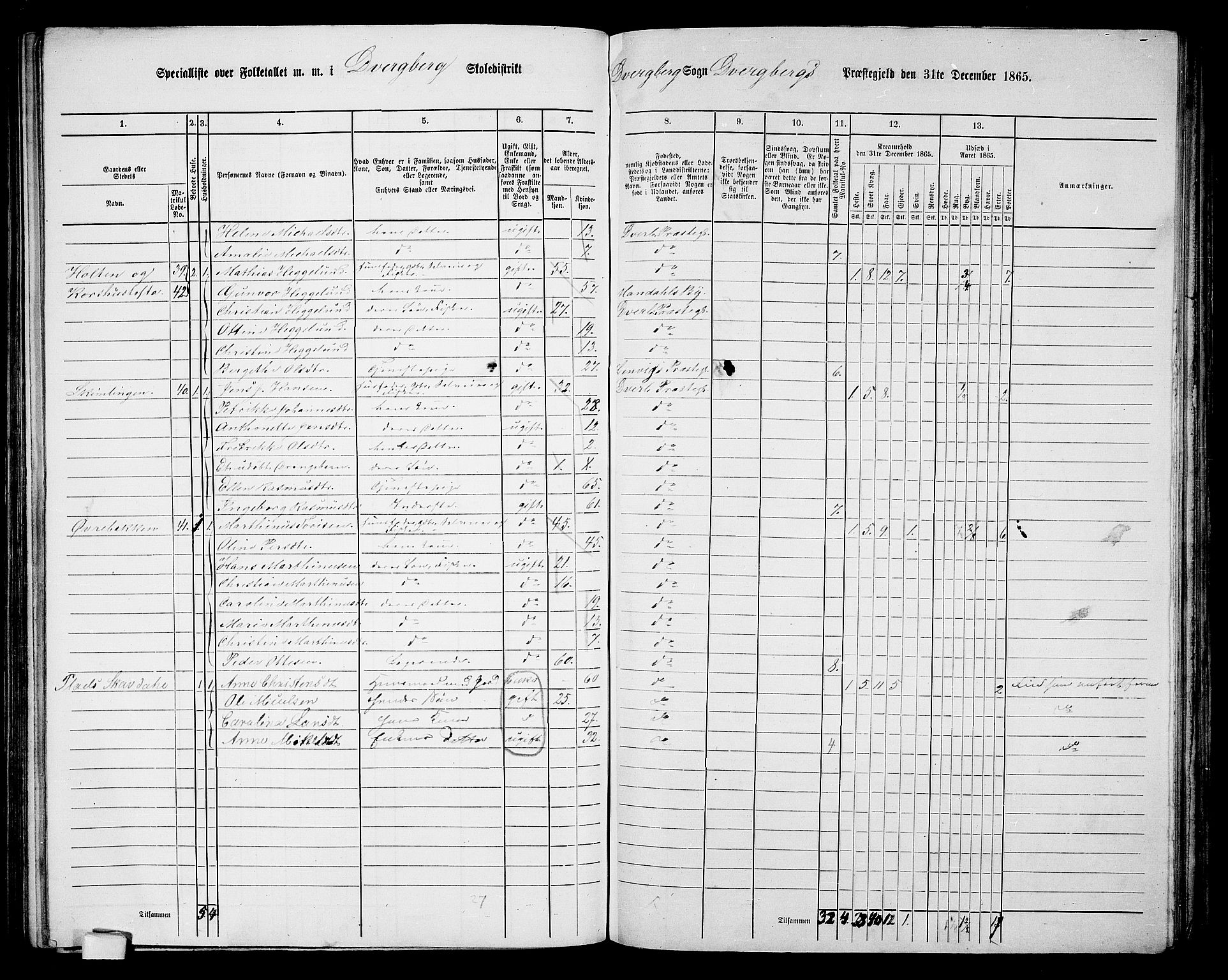 RA, 1865 census for Dverberg, 1865, p. 16