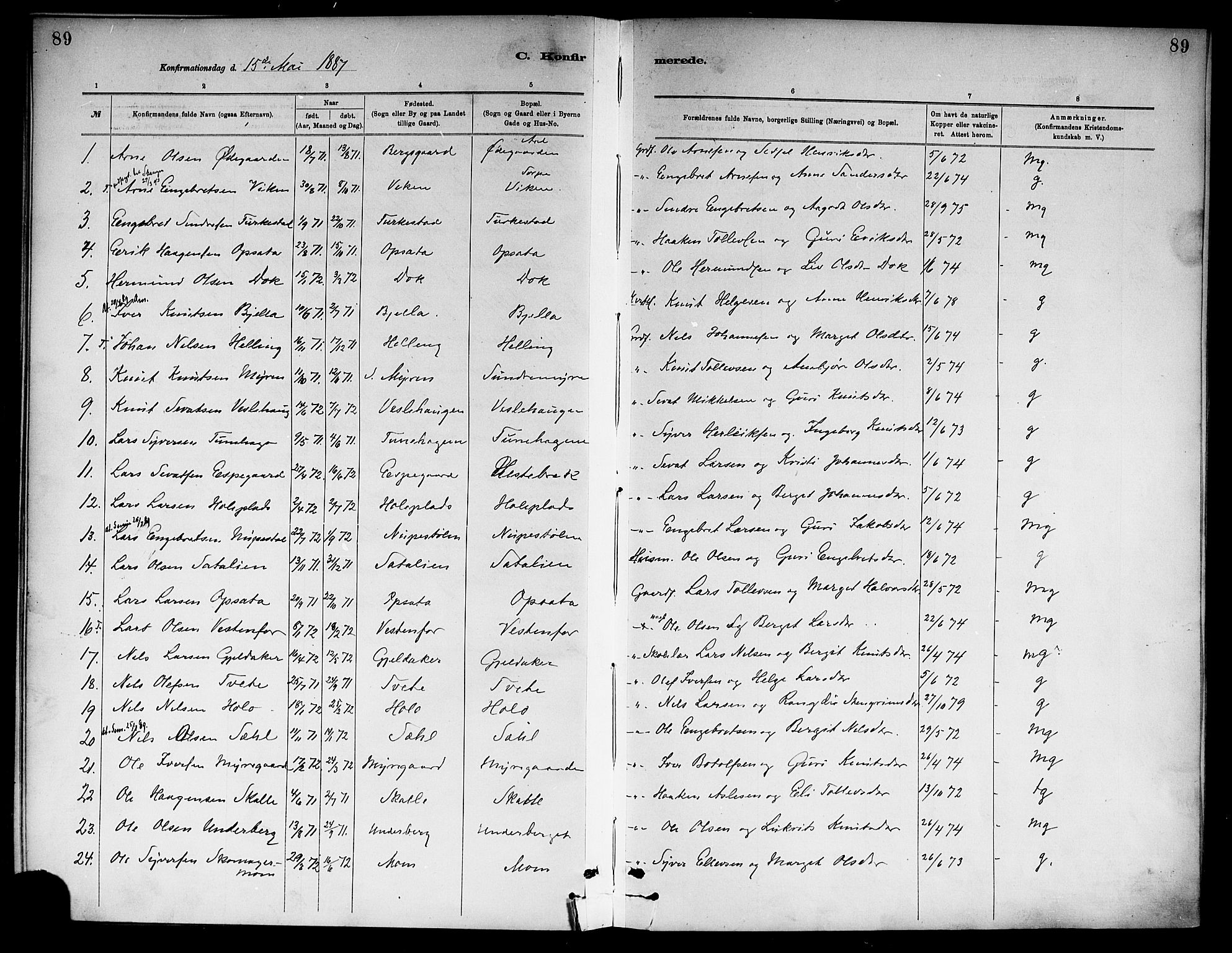 Ål kirkebøker, SAKO/A-249/F/Fa/L0008: Parish register (official) no. I 8, 1882-1896, p. 89
