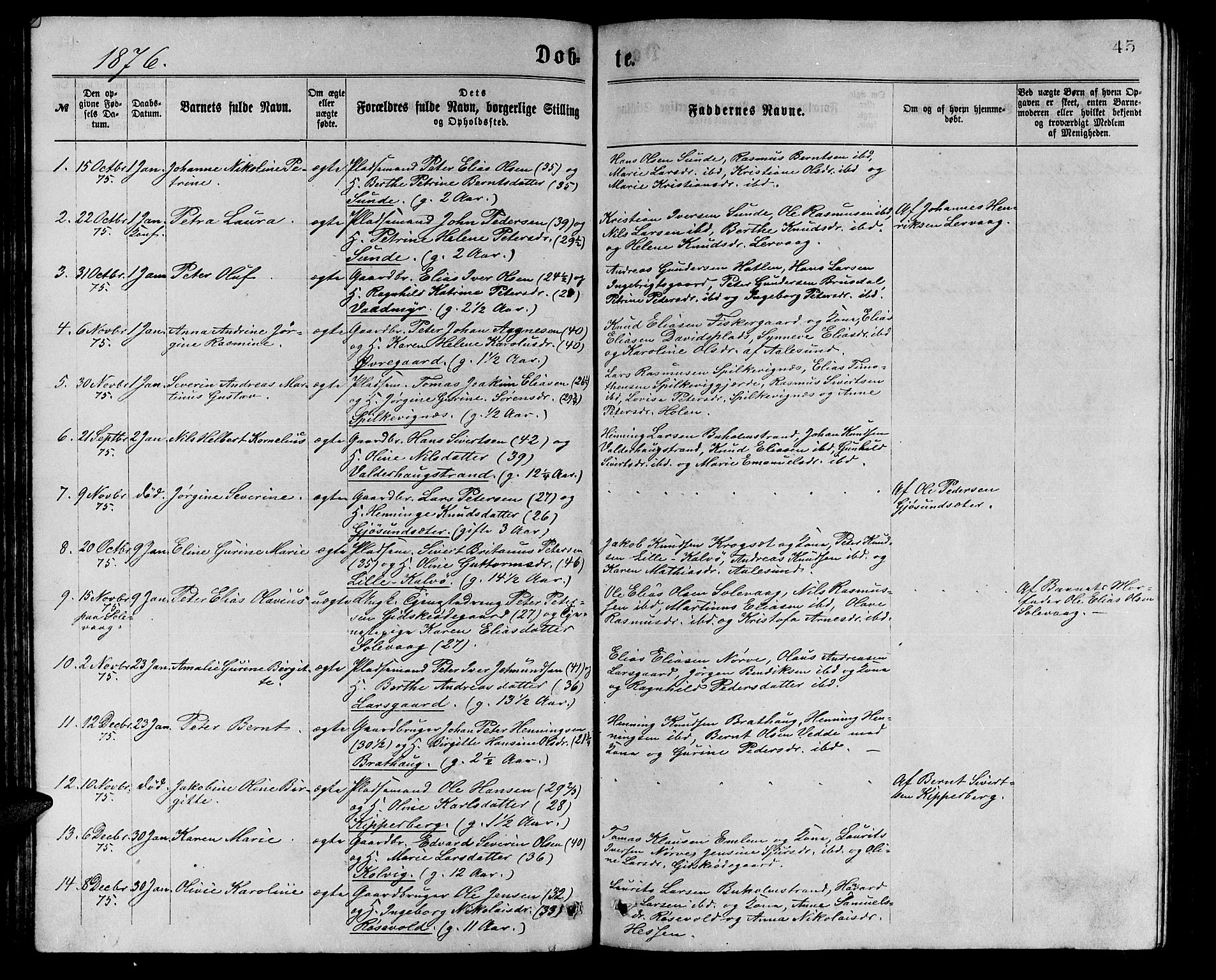 Ministerialprotokoller, klokkerbøker og fødselsregistre - Møre og Romsdal, AV/SAT-A-1454/528/L0429: Parish register (copy) no. 528C10, 1872-1886, p. 45