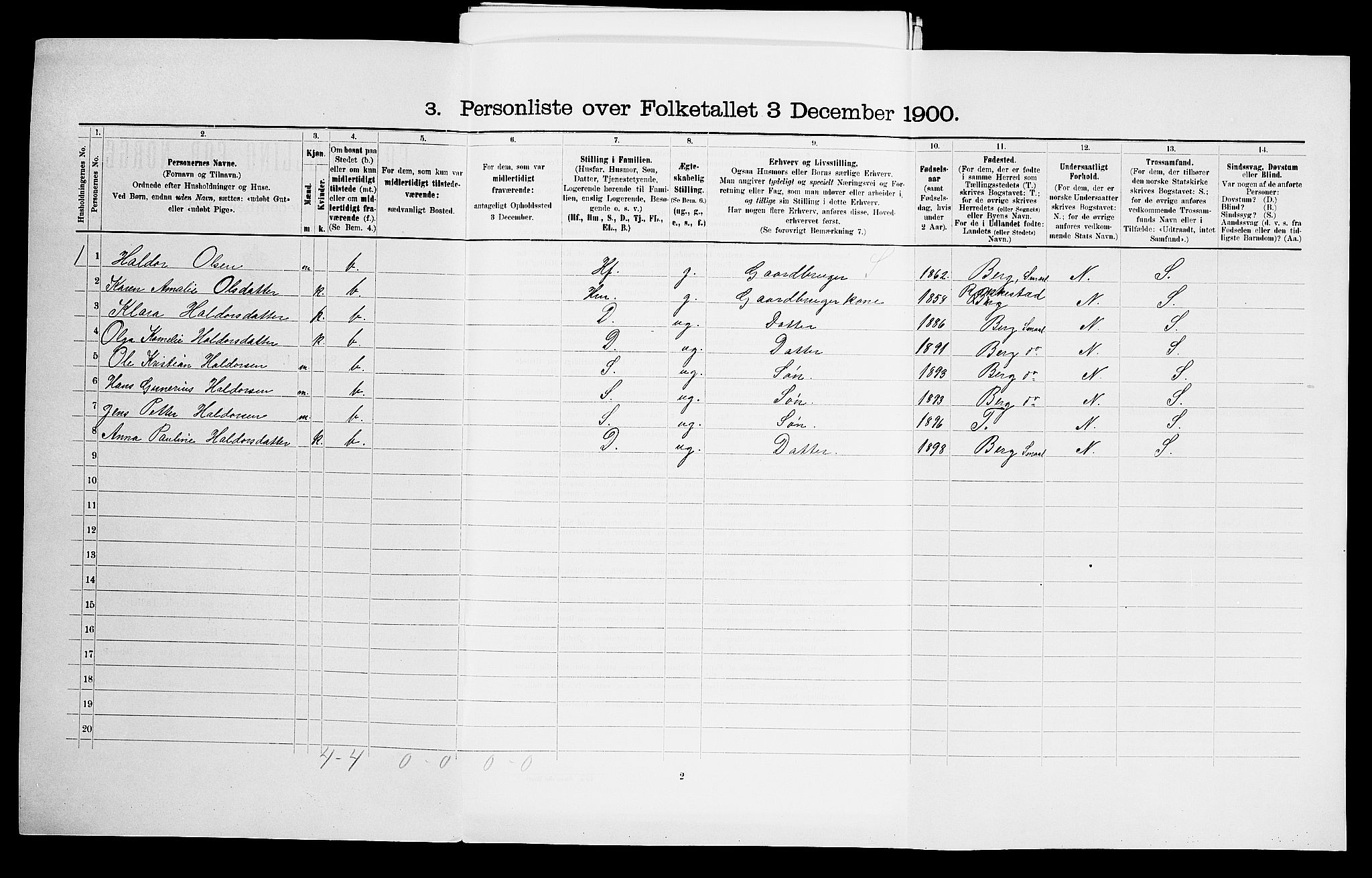 SAO, 1900 census for Skjeberg, 1900, p. 980