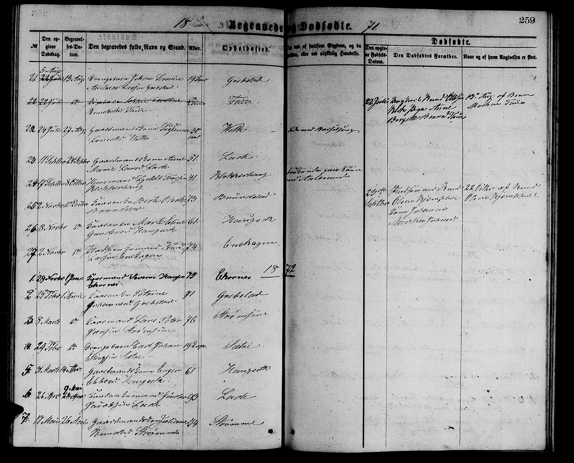 Ministerialprotokoller, klokkerbøker og fødselsregistre - Møre og Romsdal, AV/SAT-A-1454/523/L0338: Parish register (copy) no. 523C01, 1865-1877, p. 259