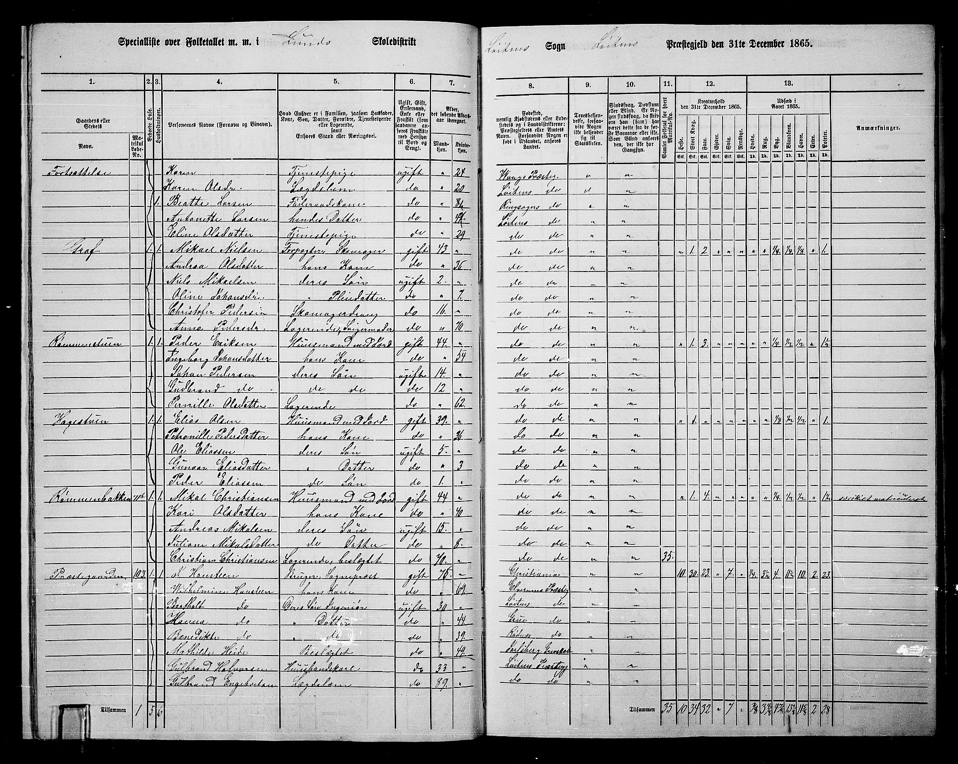 RA, 1865 census for Løten, 1865, p. 19