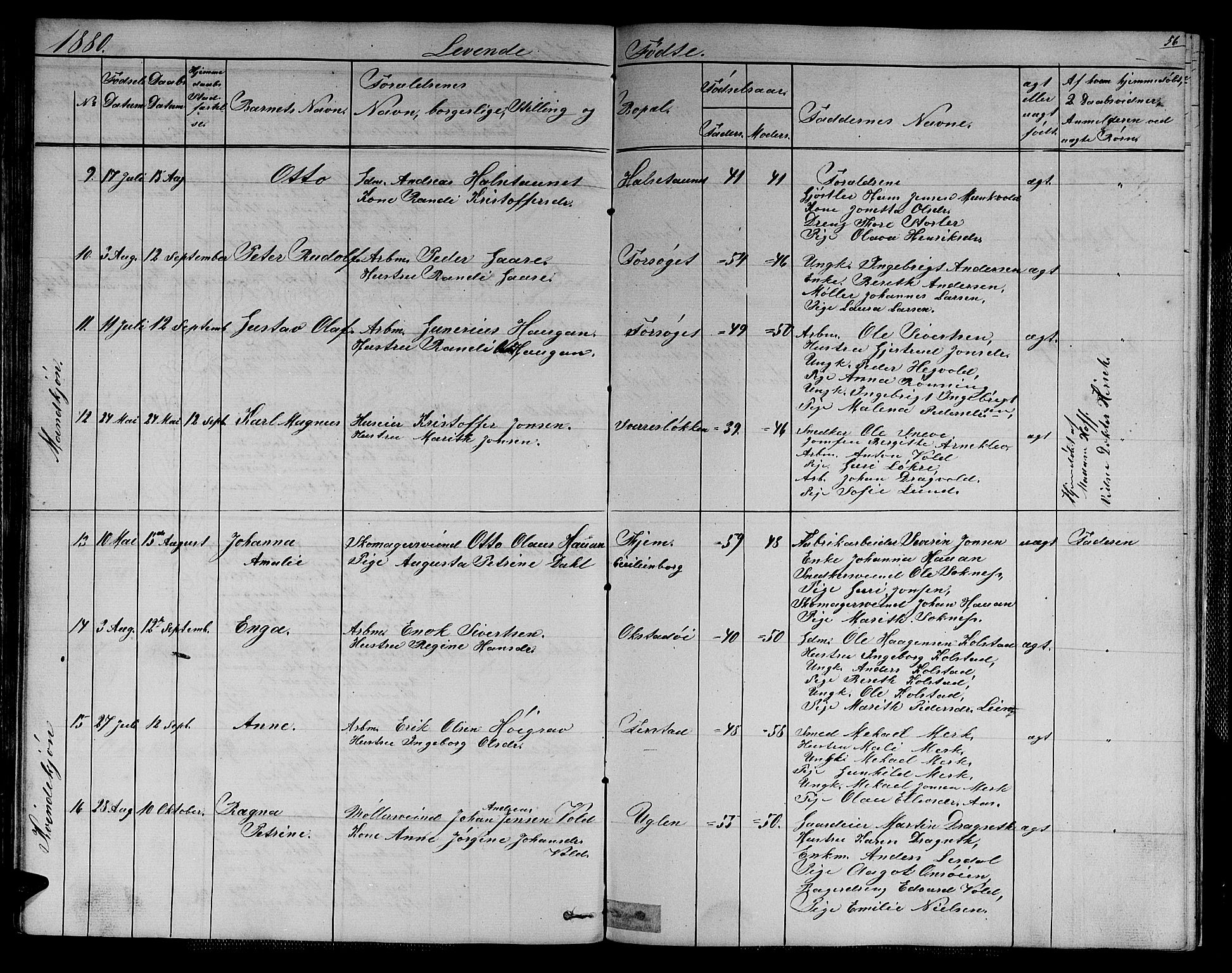 Ministerialprotokoller, klokkerbøker og fødselsregistre - Sør-Trøndelag, SAT/A-1456/611/L0353: Parish register (copy) no. 611C01, 1854-1881, p. 56