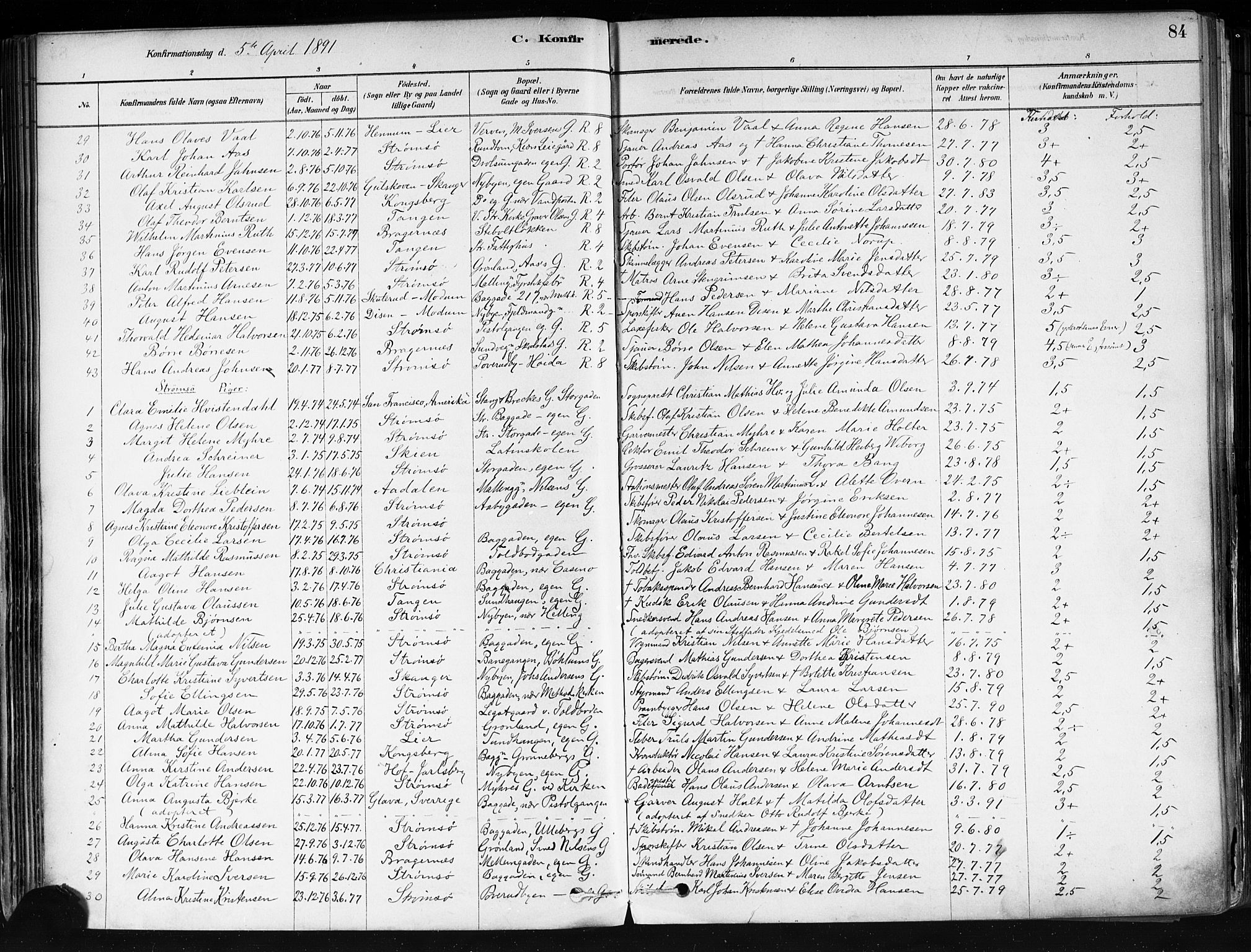 Strømsø kirkebøker, AV/SAKO-A-246/F/Fa/L0022: Parish register (official) no. I 22, 1879-1899, p. 84