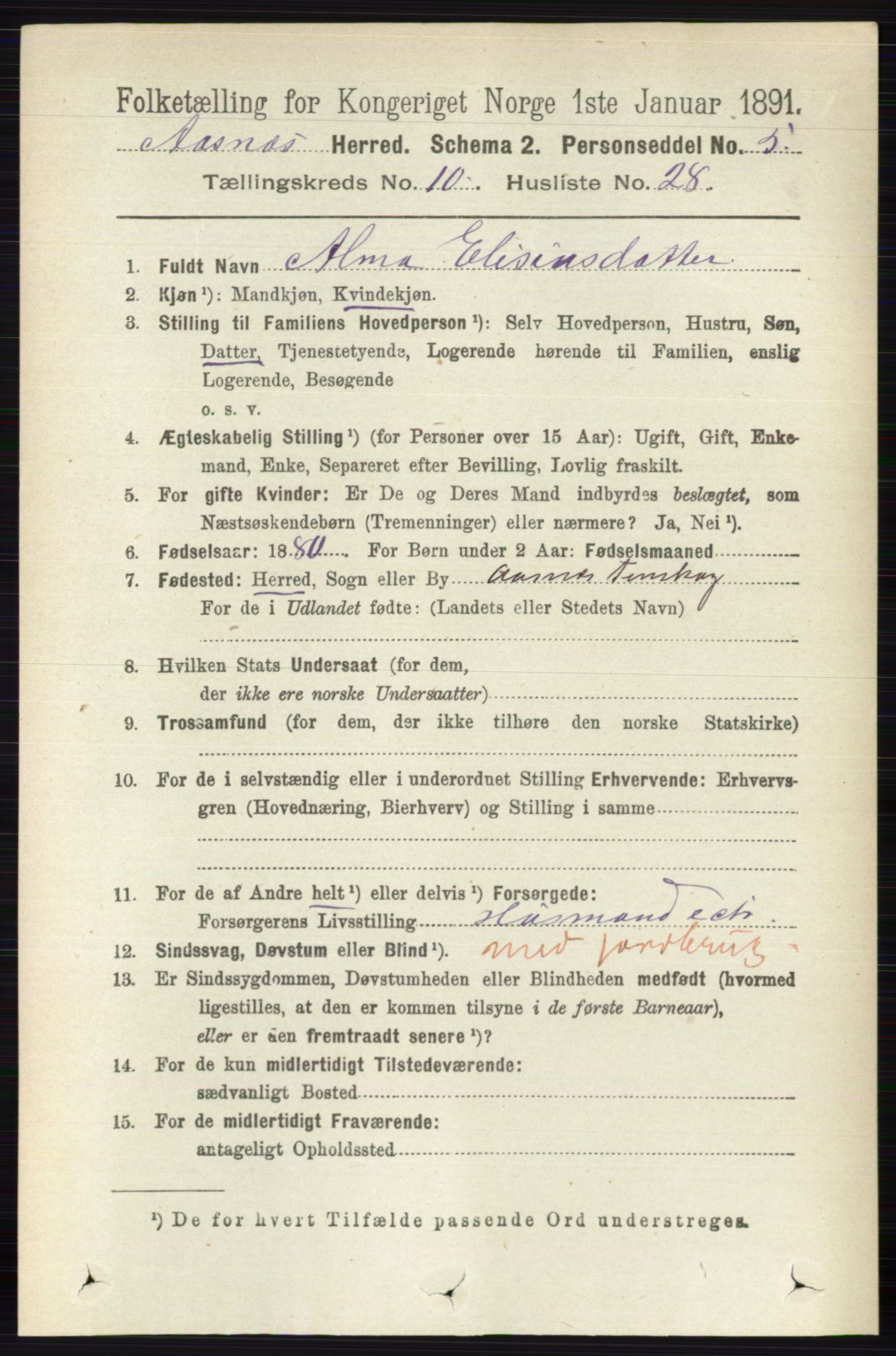 RA, 1891 census for 0425 Åsnes, 1891, p. 5208