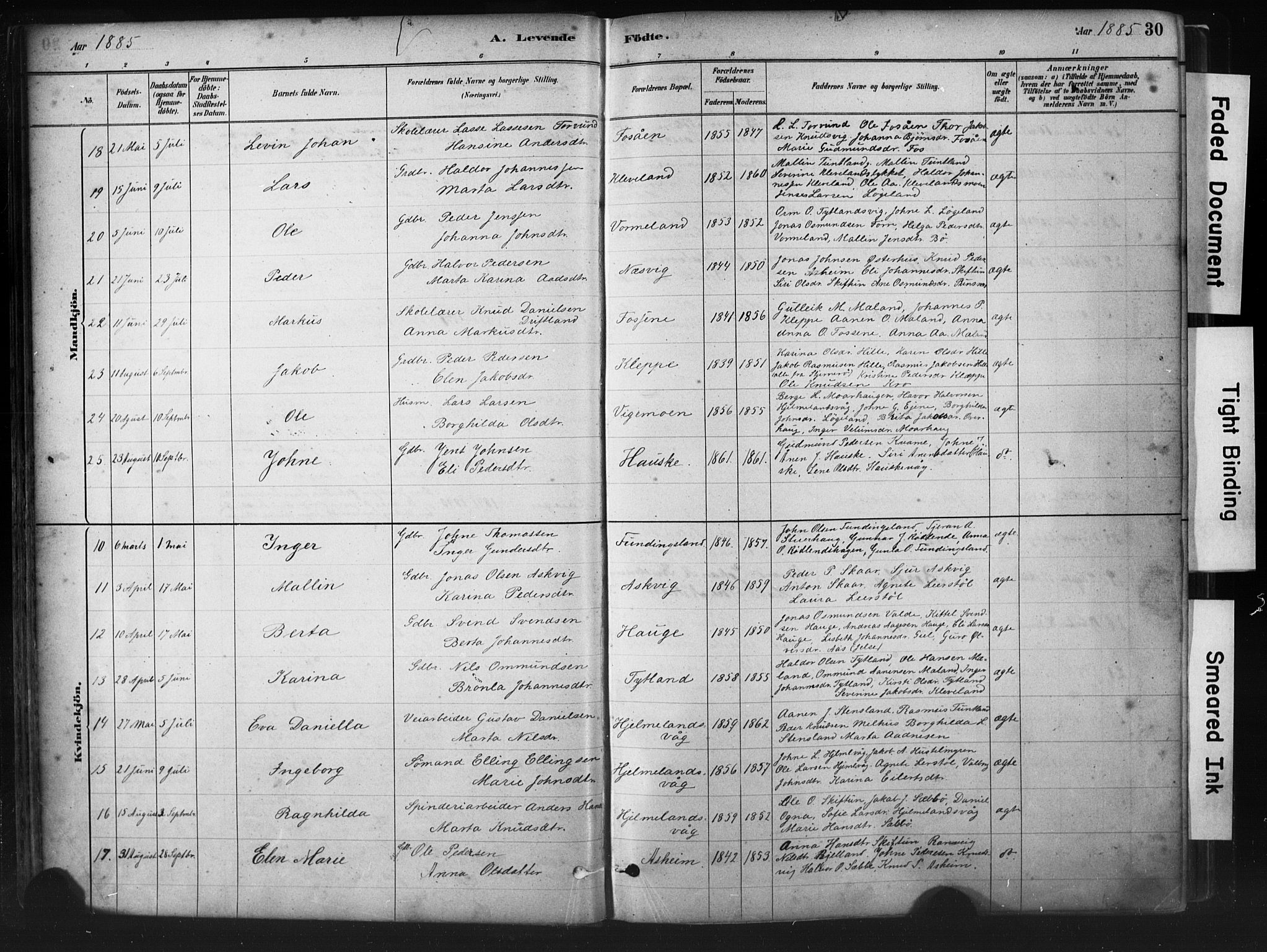 Hjelmeland sokneprestkontor, AV/SAST-A-101843/01/IV/L0014: Parish register (official) no. A 14, 1879-1900, p. 30