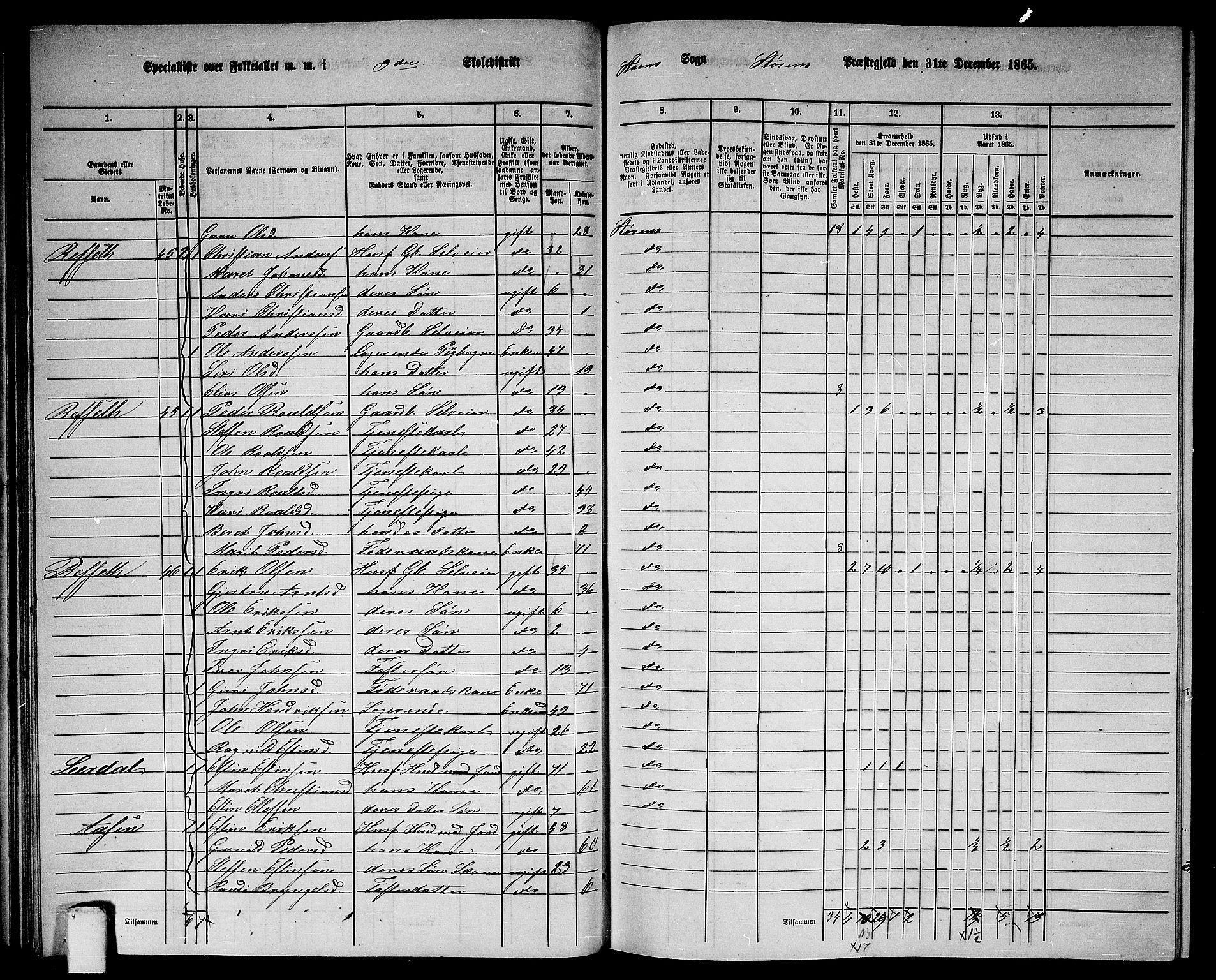 RA, 1865 census for Støren, 1865, p. 55