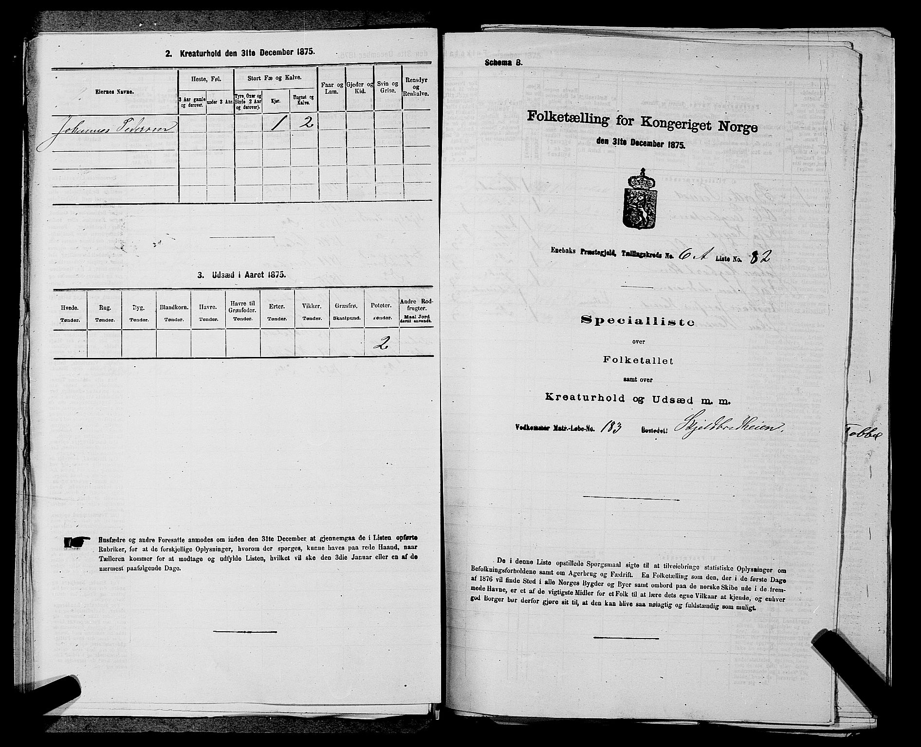 RA, 1875 census for 0229P Enebakk, 1875, p. 1093