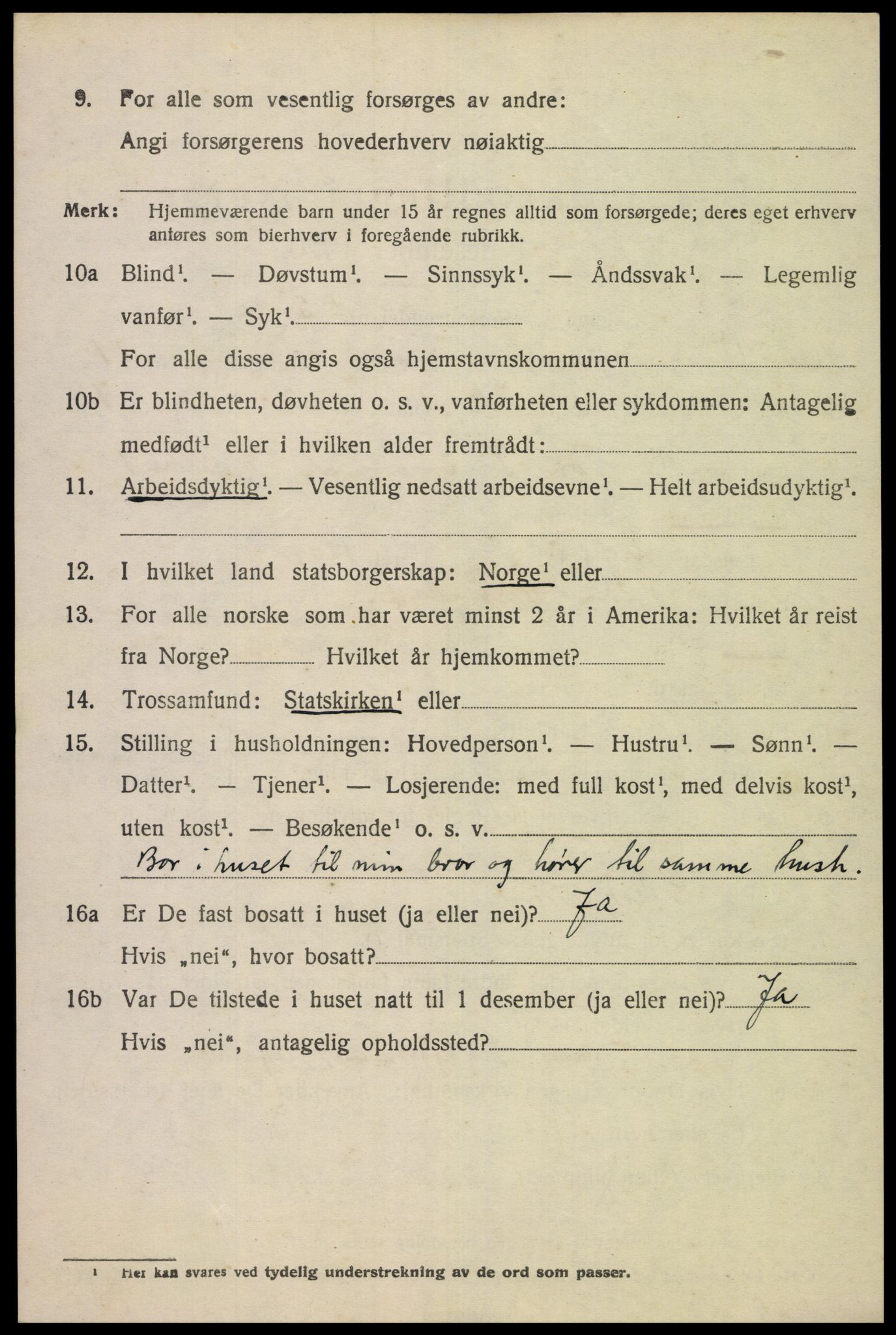 SAK, 1920 census for Nes (V-A), 1920, p. 1383