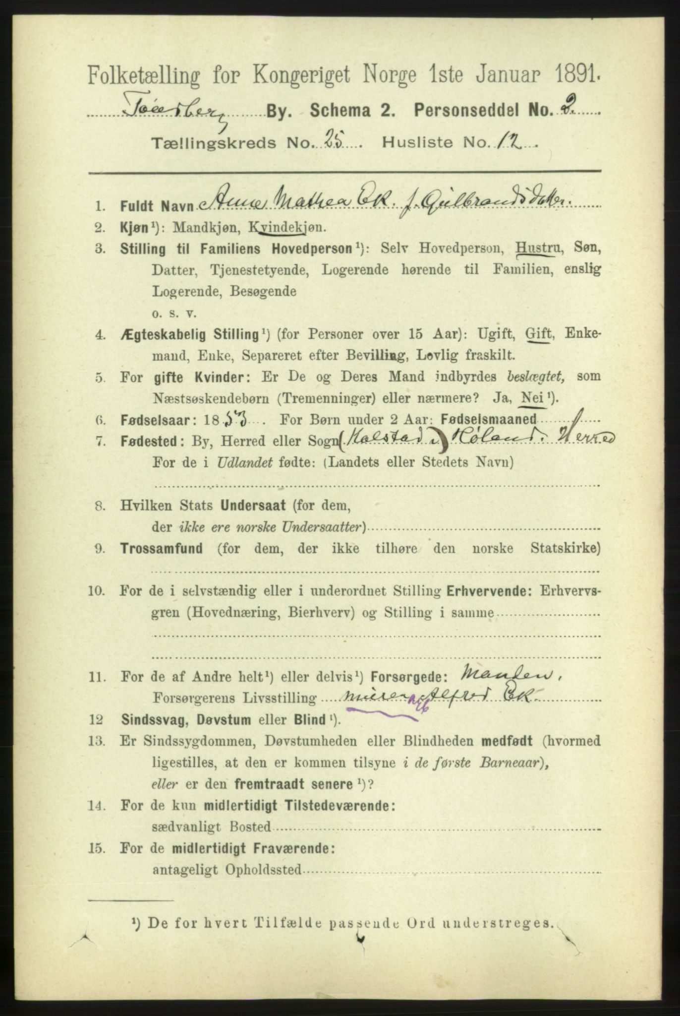 RA, 1891 census for 0705 Tønsberg, 1891, p. 6637