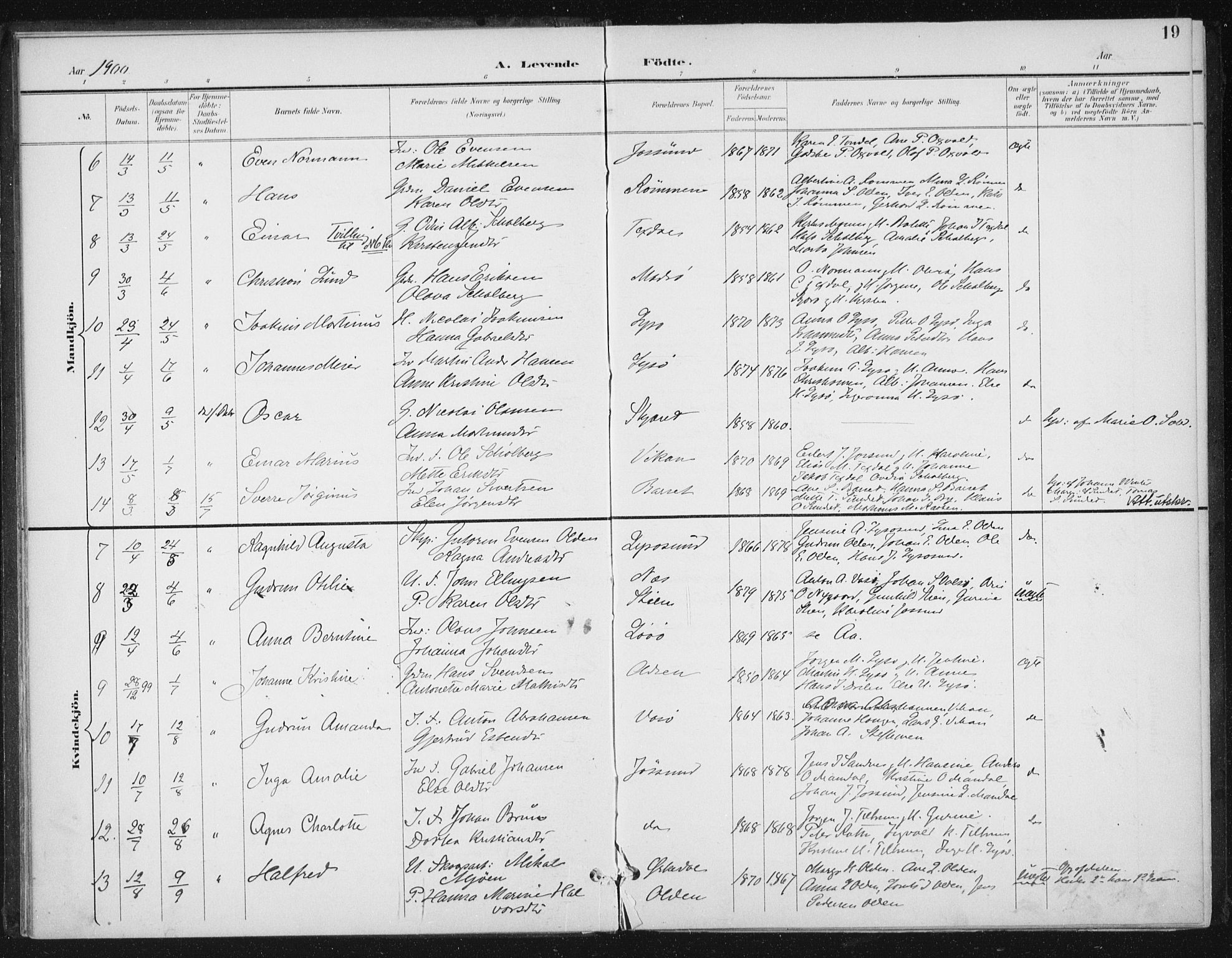 Ministerialprotokoller, klokkerbøker og fødselsregistre - Sør-Trøndelag, SAT/A-1456/654/L0664: Parish register (official) no. 654A02, 1895-1907, p. 19