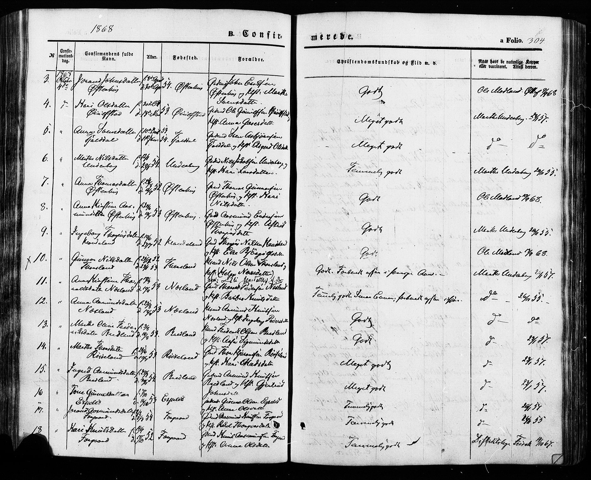 Åseral sokneprestkontor, AV/SAK-1111-0051/F/Fa/L0002: Parish register (official) no. A 2, 1854-1884, p. 304