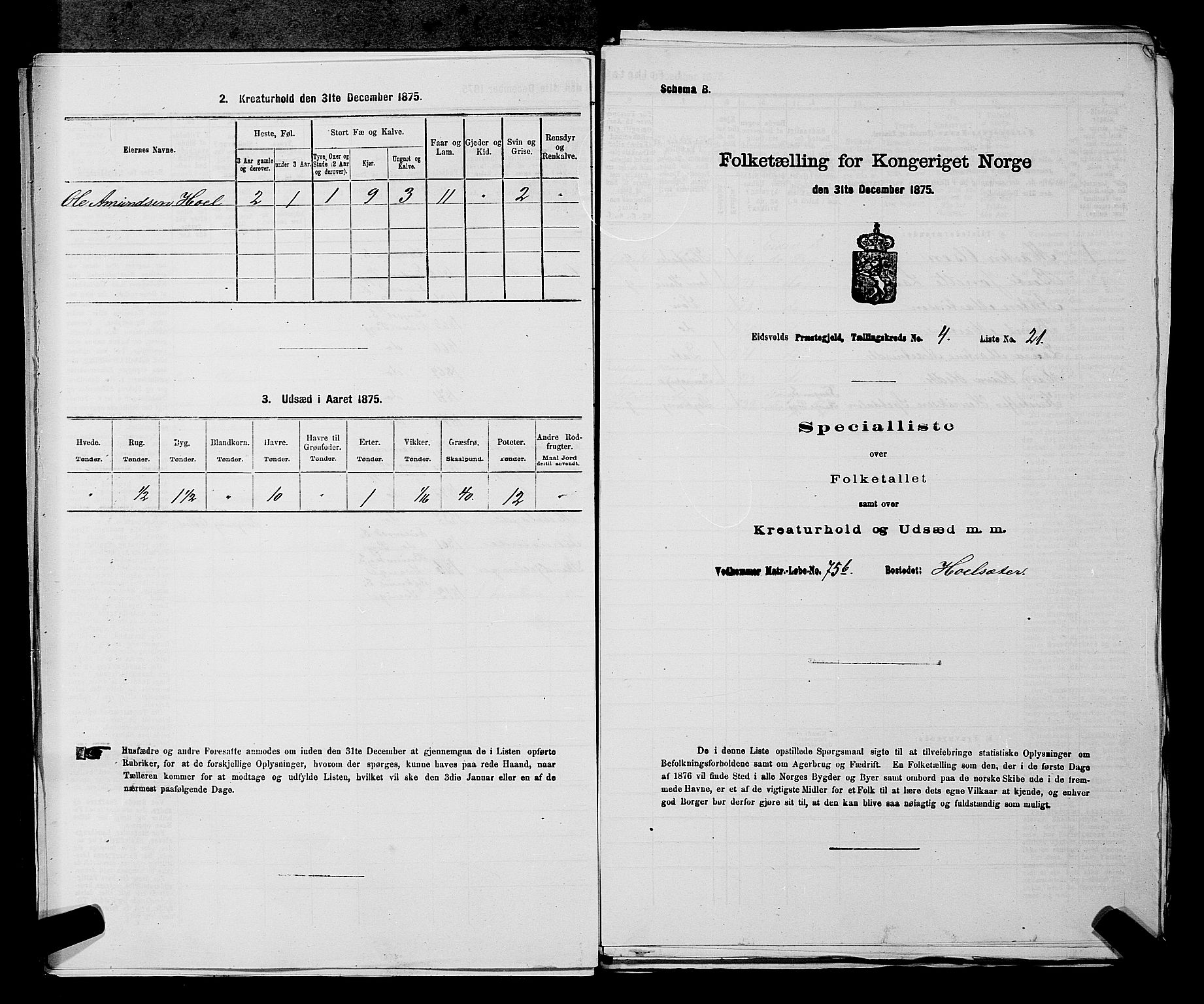 RA, 1875 census for 0237P Eidsvoll, 1875, p. 490