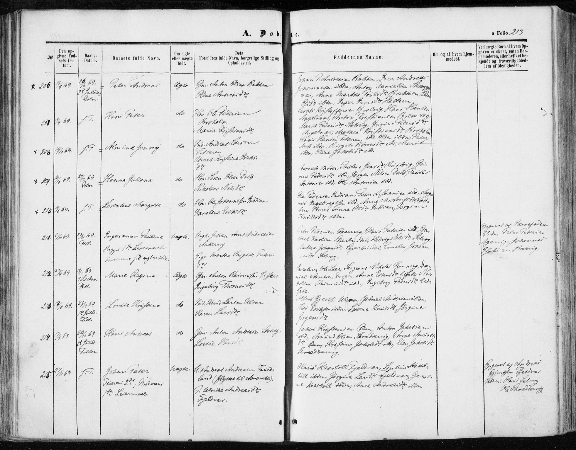 Ministerialprotokoller, klokkerbøker og fødselsregistre - Sør-Trøndelag, SAT/A-1456/634/L0531: Parish register (official) no. 634A07, 1861-1870, p. 213