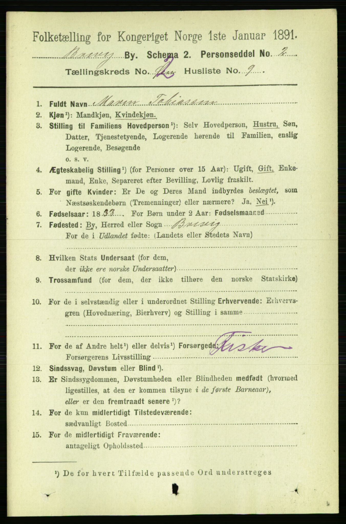 RA, 1891 census for 0804 Brevik, 1891, p. 1656