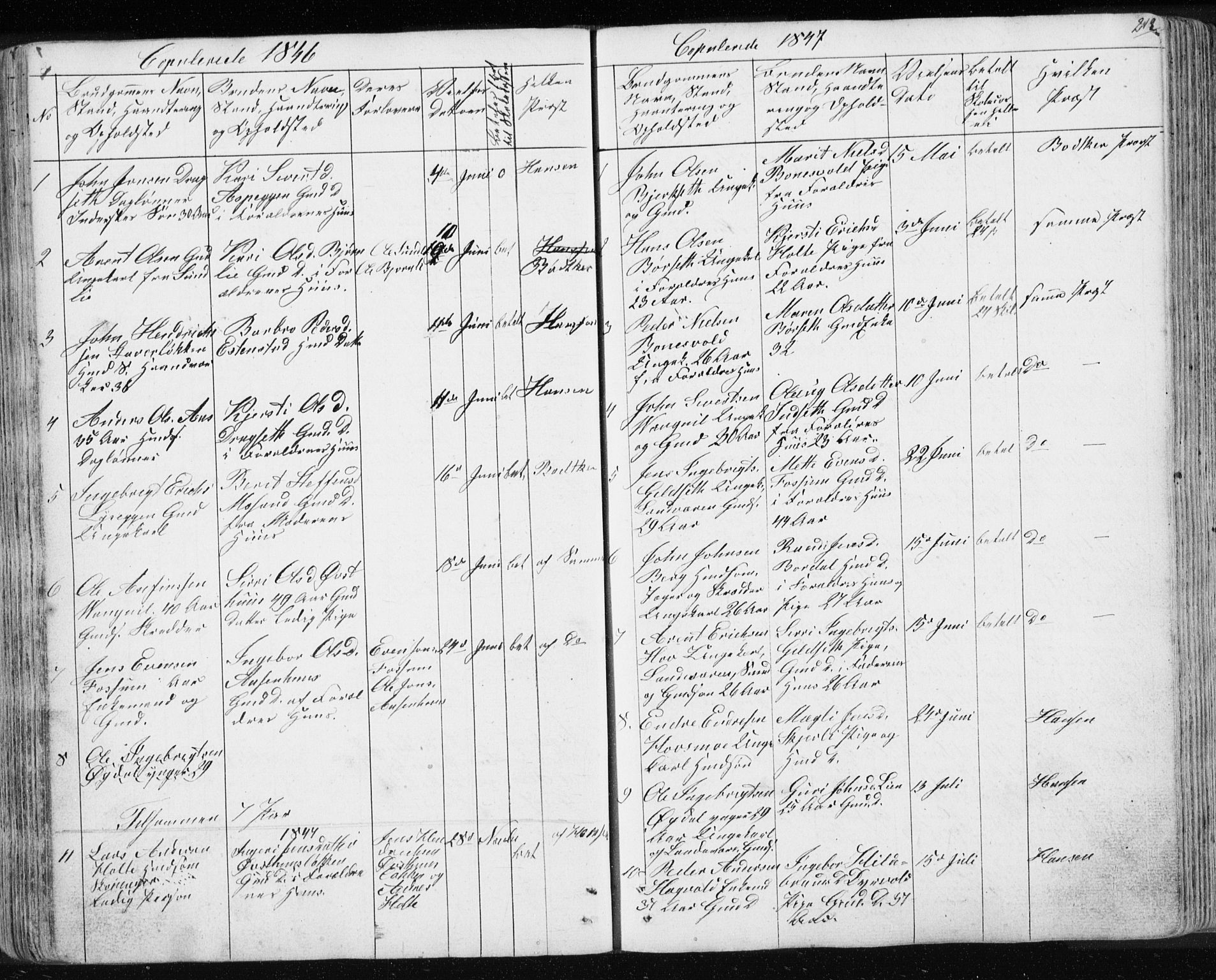 Ministerialprotokoller, klokkerbøker og fødselsregistre - Sør-Trøndelag, SAT/A-1456/689/L1043: Parish register (copy) no. 689C02, 1816-1892, p. 218