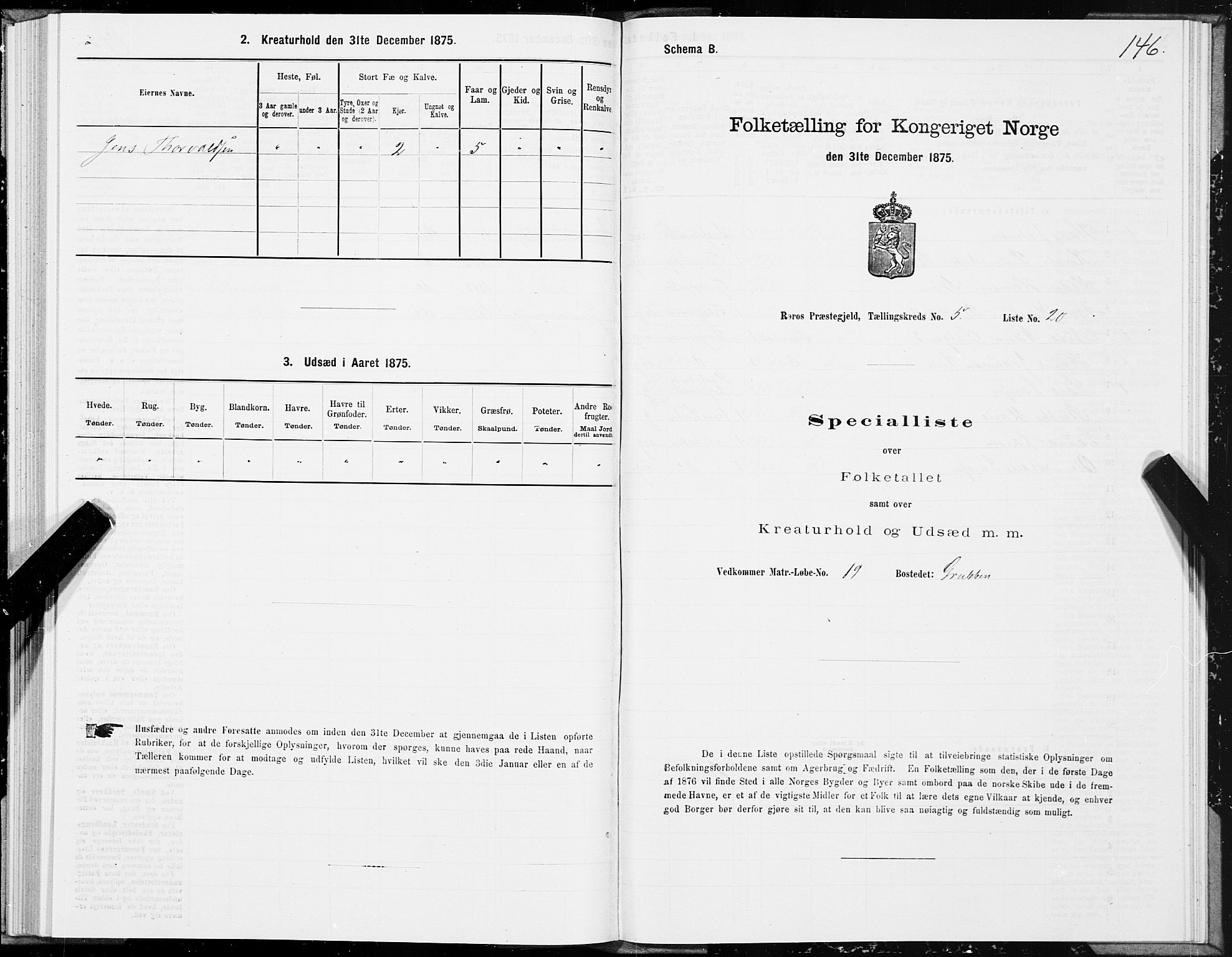 SAT, 1875 census for 1640P Røros, 1875, p. 3146