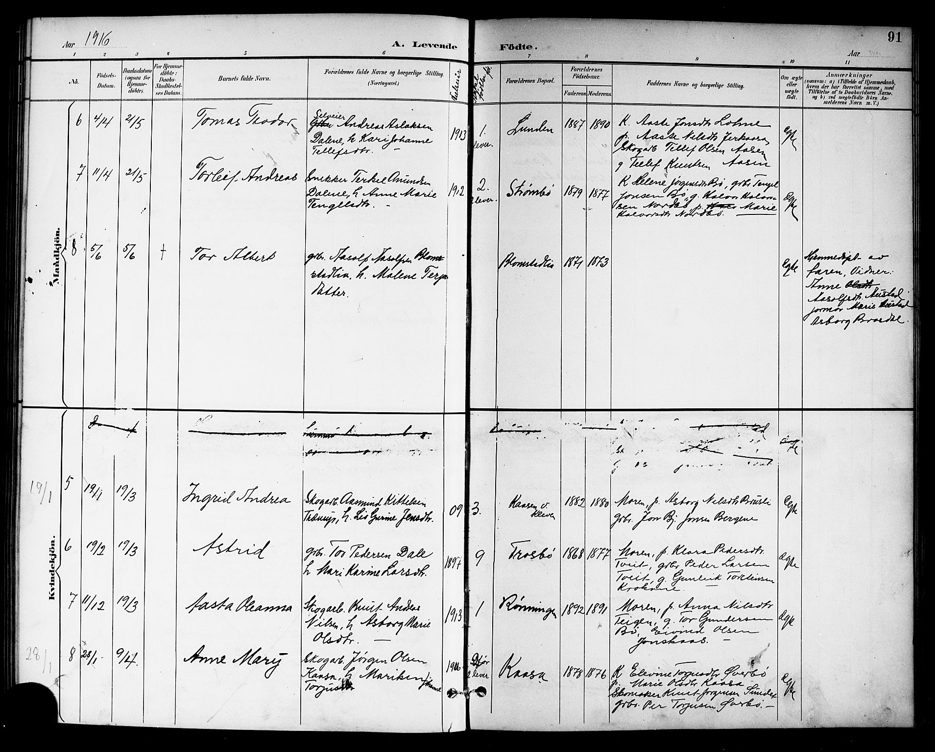 Drangedal kirkebøker, SAKO/A-258/G/Gb/L0002: Parish register (copy) no. II 2, 1895-1918, p. 91