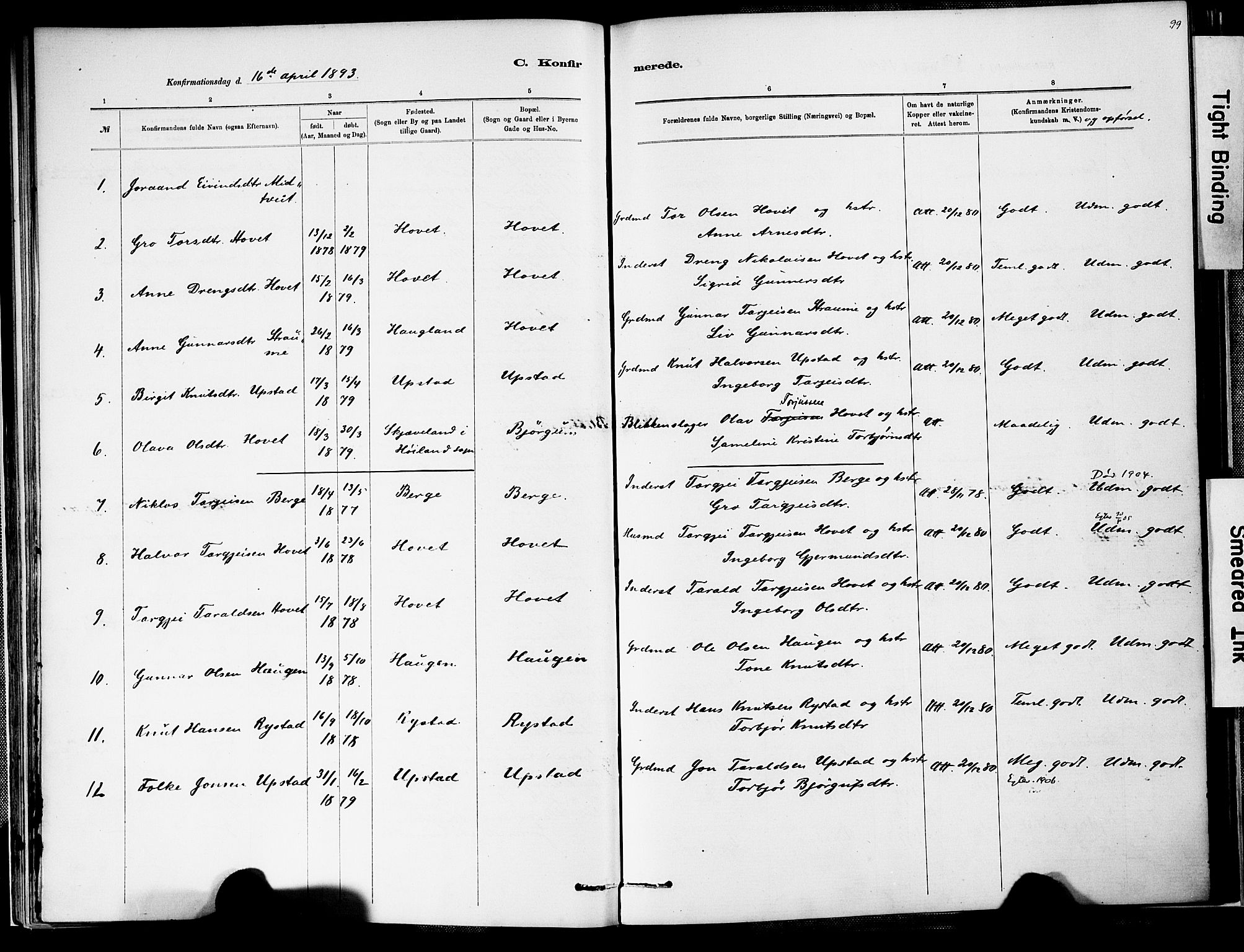 Valle sokneprestkontor, SAK/1111-0044/F/Fa/Fab/L0001: Parish register (official) no. A 1, 1882-1910, p. 99