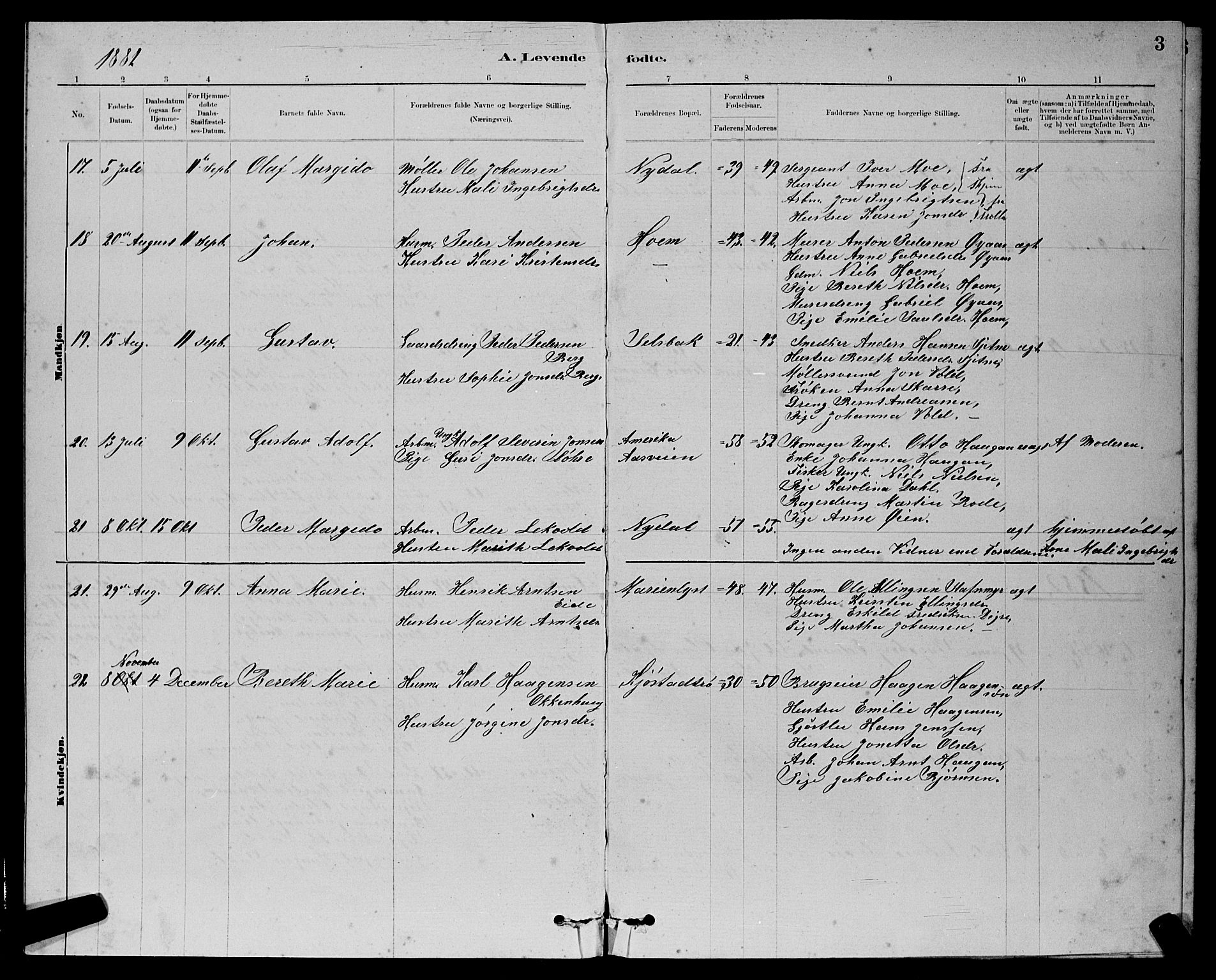 Ministerialprotokoller, klokkerbøker og fødselsregistre - Sør-Trøndelag, SAT/A-1456/611/L0354: Parish register (copy) no. 611C02, 1881-1896, p. 3
