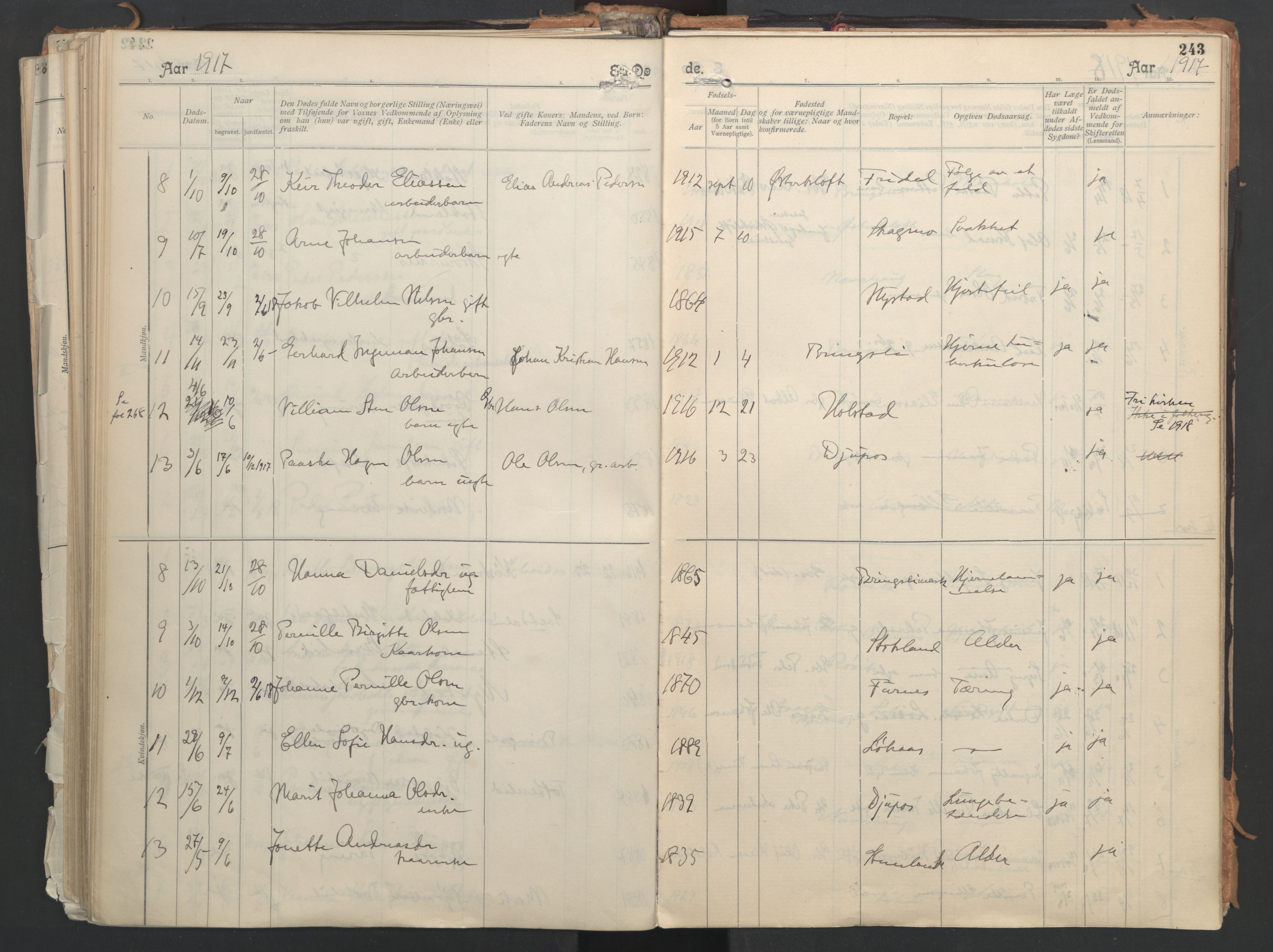 Ministerialprotokoller, klokkerbøker og fødselsregistre - Nordland, AV/SAT-A-1459/851/L0724: Parish register (official) no. 851A01, 1901-1922, p. 243