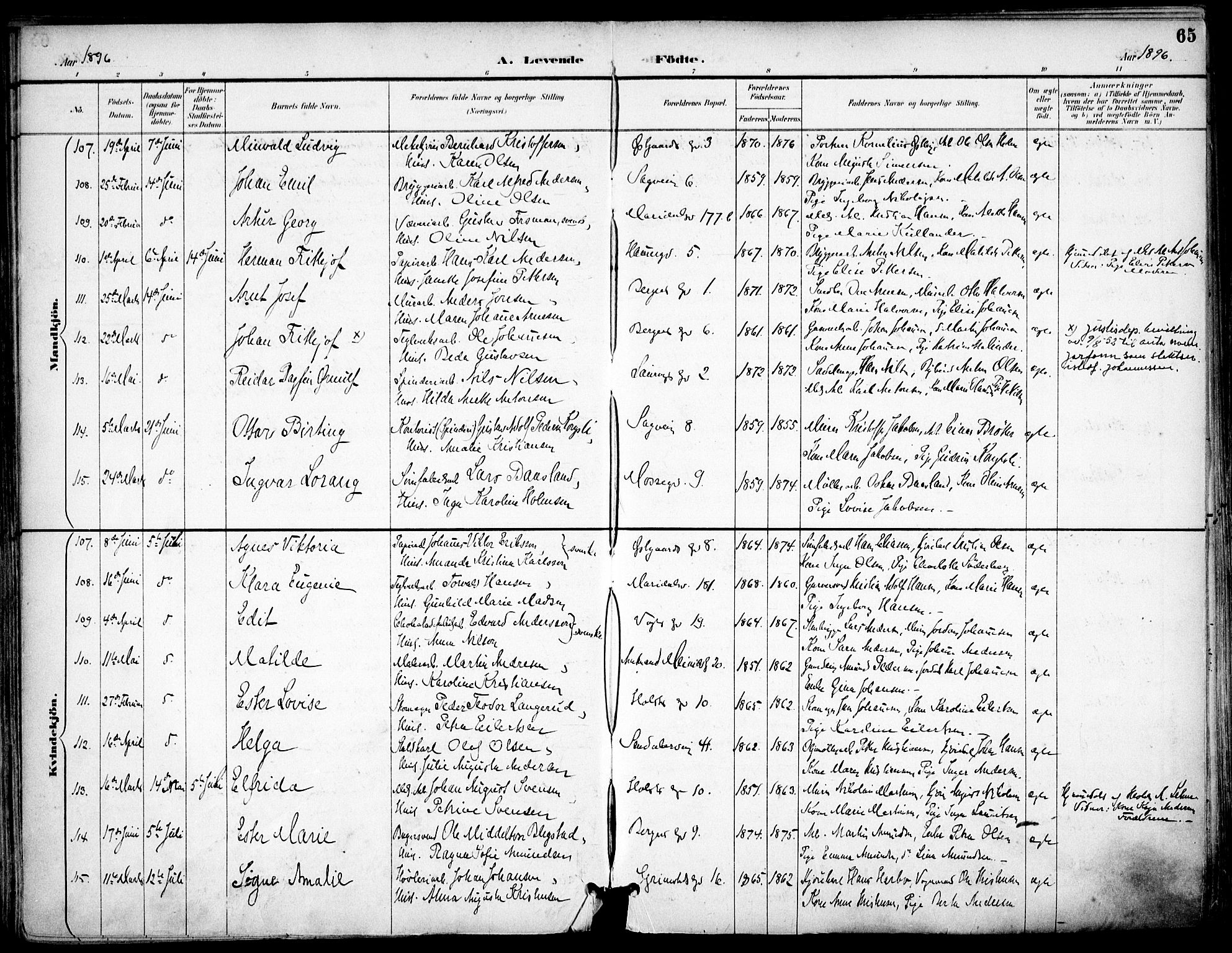 Sagene prestekontor Kirkebøker, SAO/A-10796/F/L0004: Parish register (official) no. 4, 1894-1904, p. 65