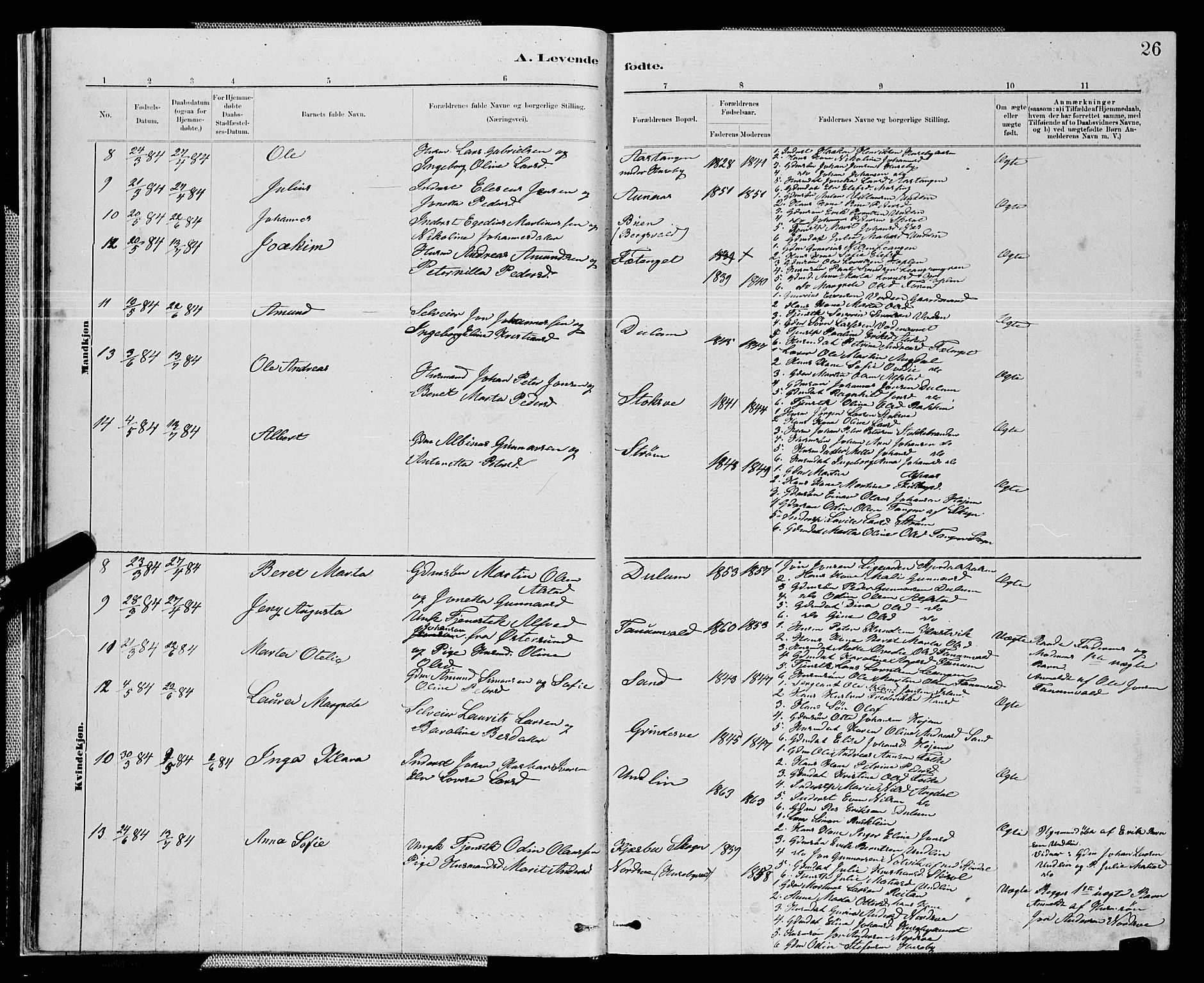 Ministerialprotokoller, klokkerbøker og fødselsregistre - Nord-Trøndelag, AV/SAT-A-1458/714/L0134: Parish register (copy) no. 714C03, 1878-1898, p. 26