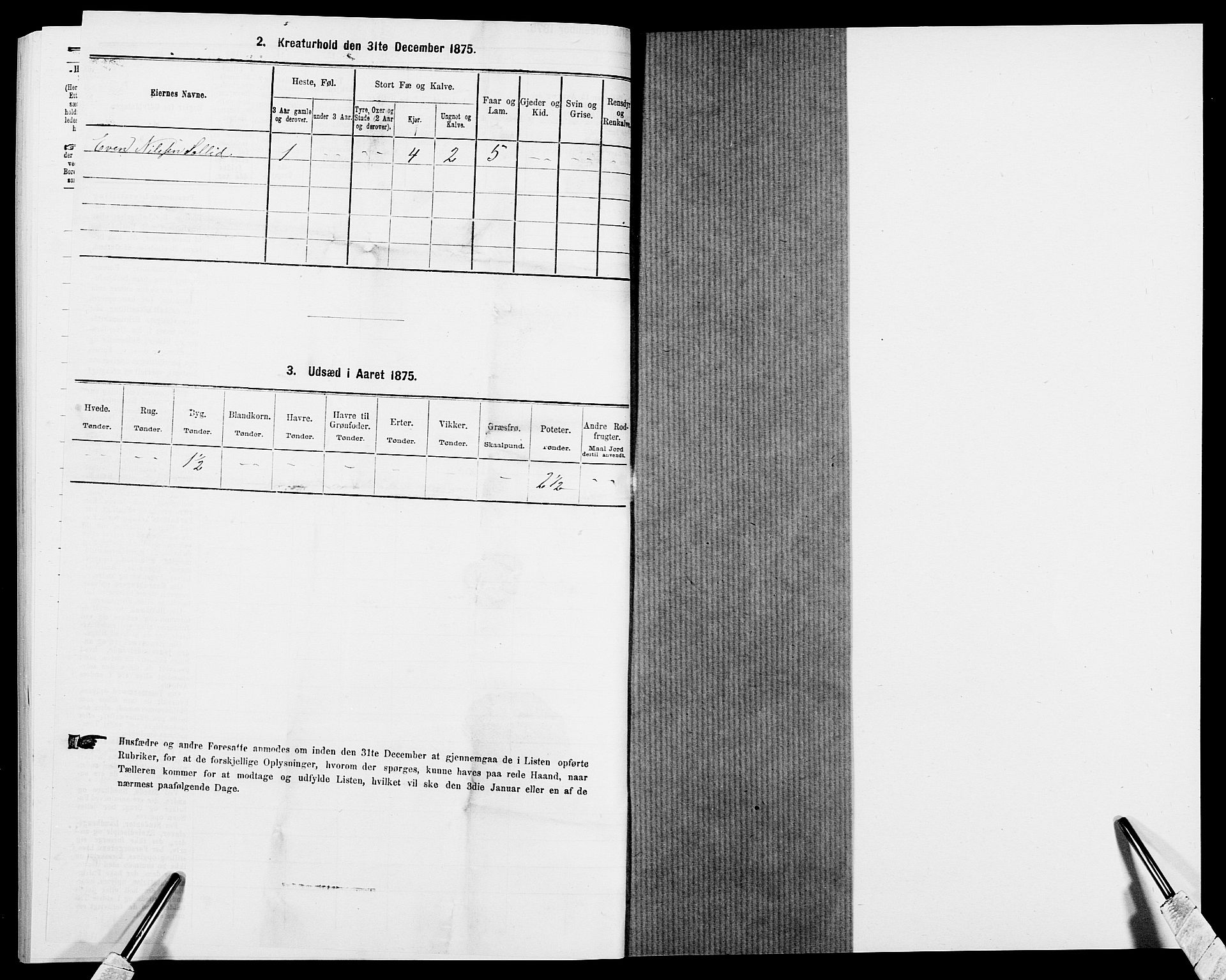 SAK, 1875 census for 0924P Homedal, 1875, p. 1036