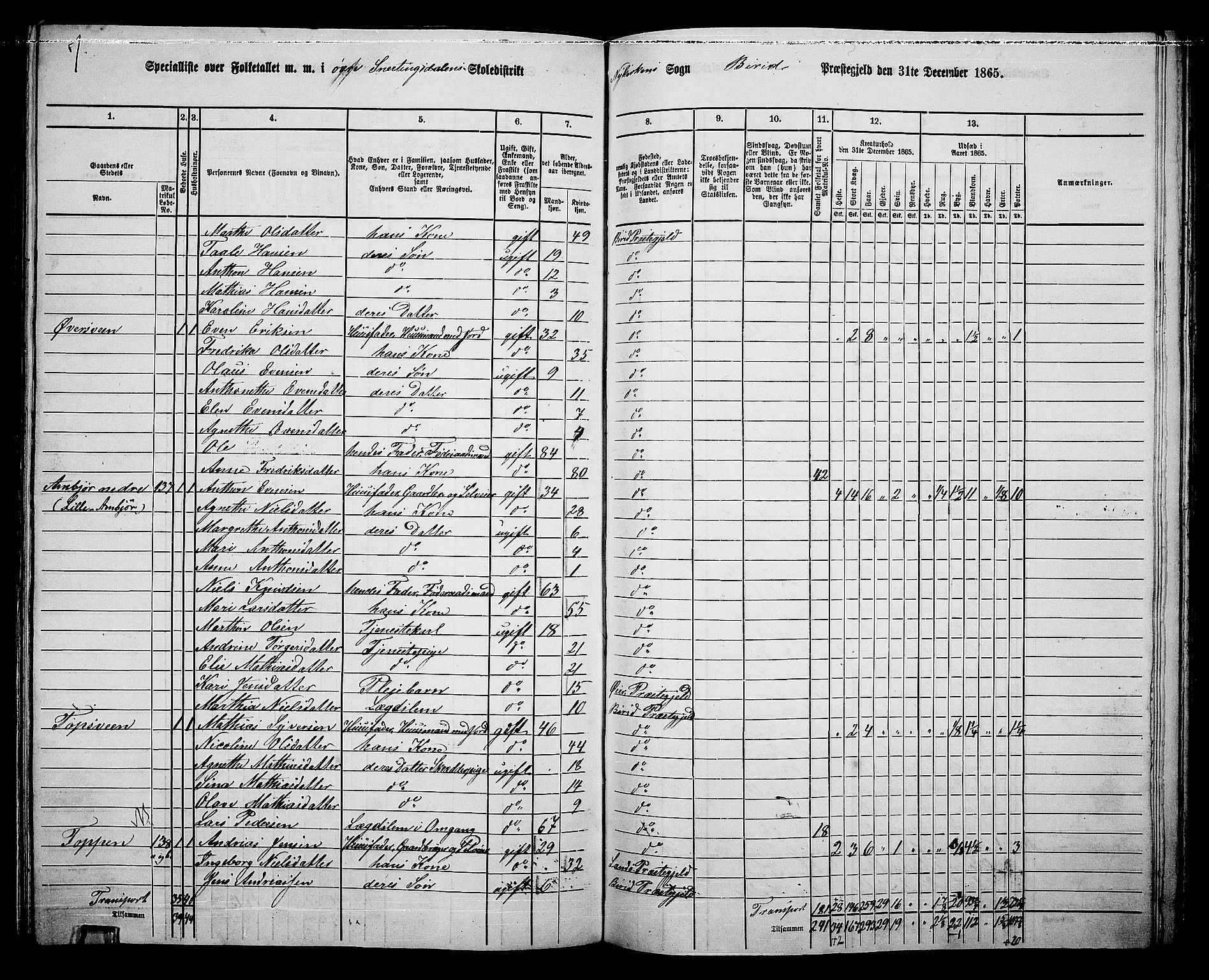 RA, 1865 census for Biri, 1865, p. 136