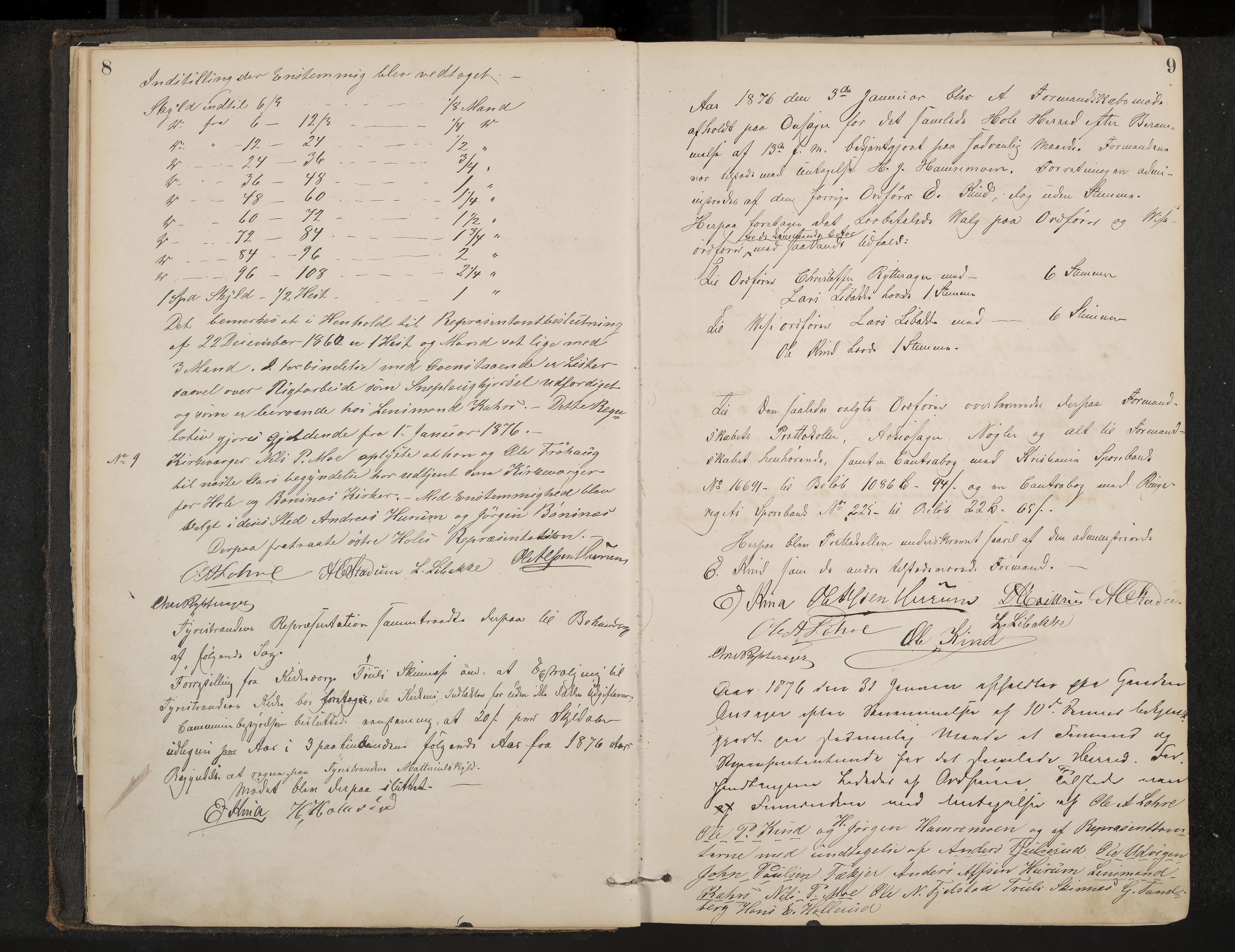 Hole formannskap og sentraladministrasjon, IKAK/0612021-1/A/Aa/L0002: Møtebok med register, 1875-1892, p. 8-9