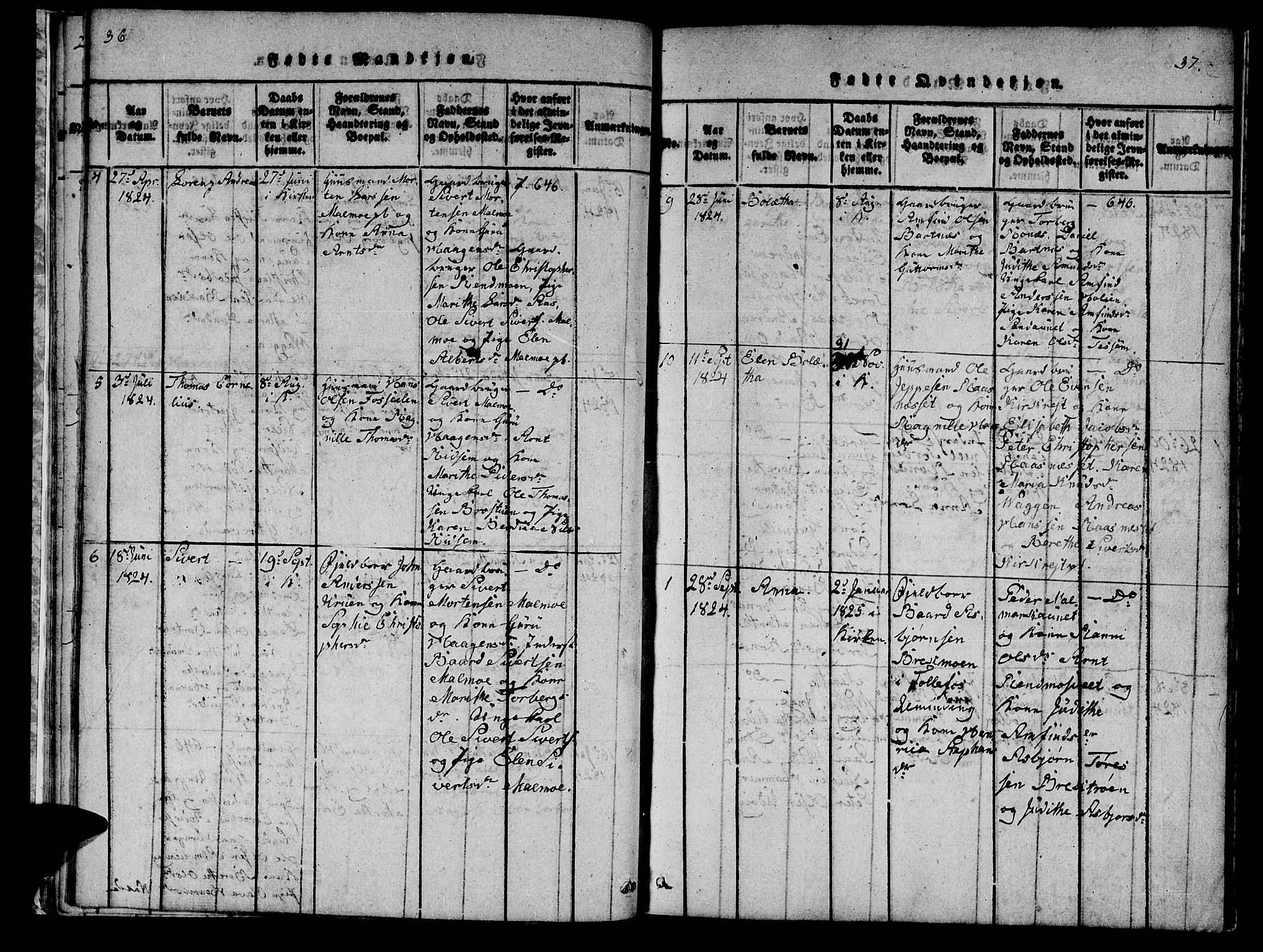 Ministerialprotokoller, klokkerbøker og fødselsregistre - Nord-Trøndelag, SAT/A-1458/745/L0433: Parish register (copy) no. 745C02, 1817-1825, p. 36-37
