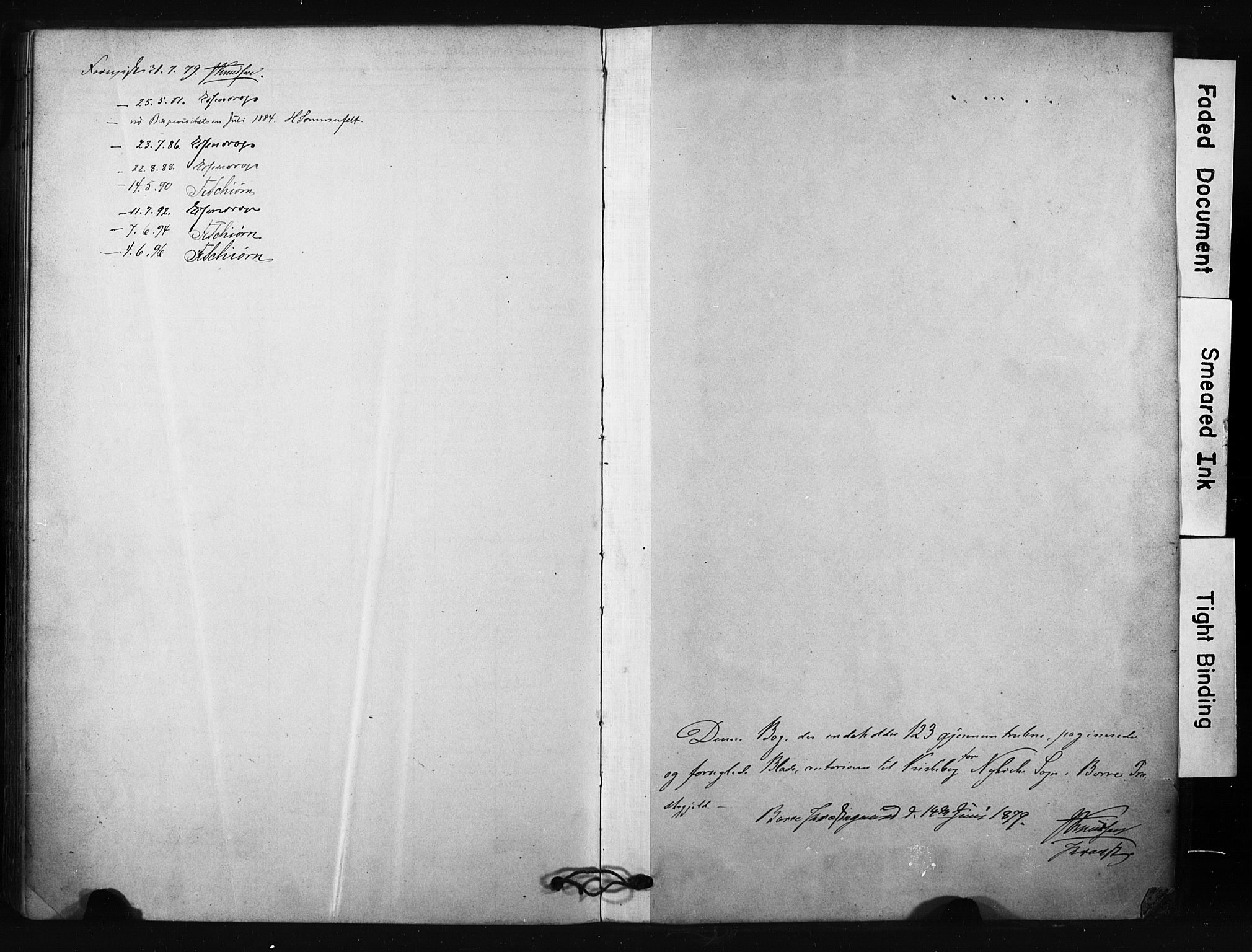 Borre kirkebøker, AV/SAKO-A-338/F/Fc/L0001: Parish register (official) no. III 1, 1878-1896