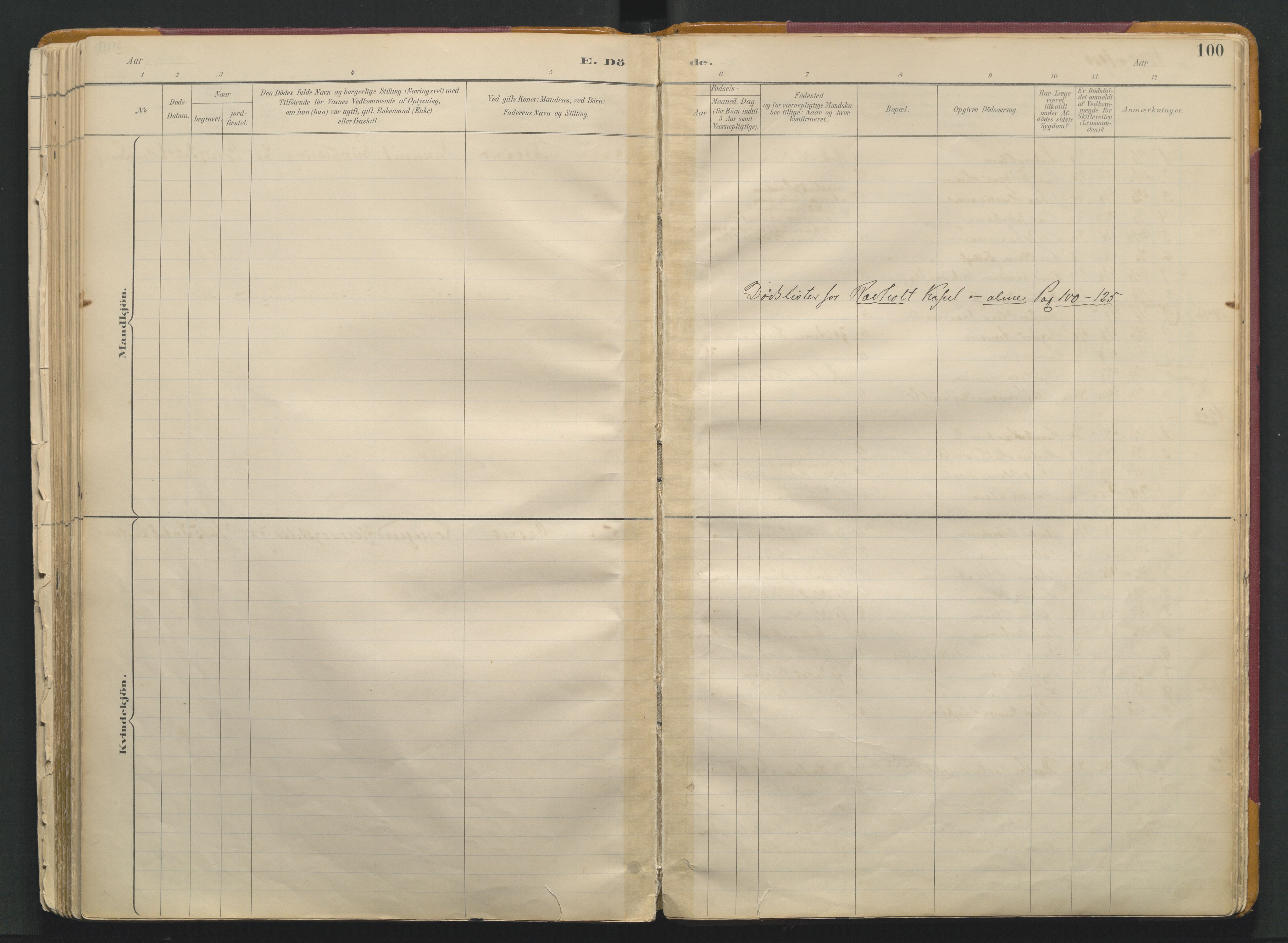 Grue prestekontor, SAH/PREST-036/H/Ha/Haa/L0017: Parish register (official) no. 17, 1892-1936, p. 100